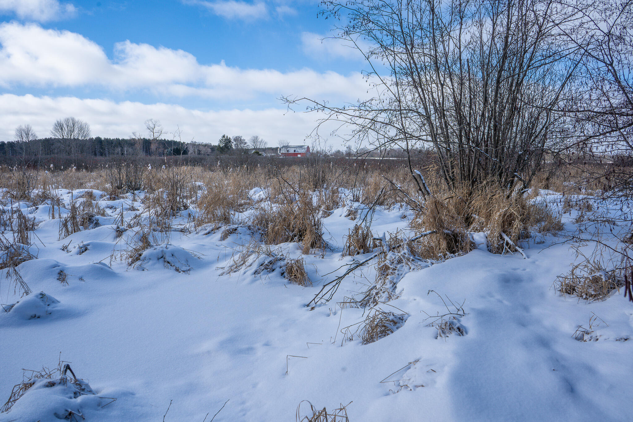 5143 South 8 Mile Road Falmouth, MI 49632 - Photo 49 of 58 DSC07514