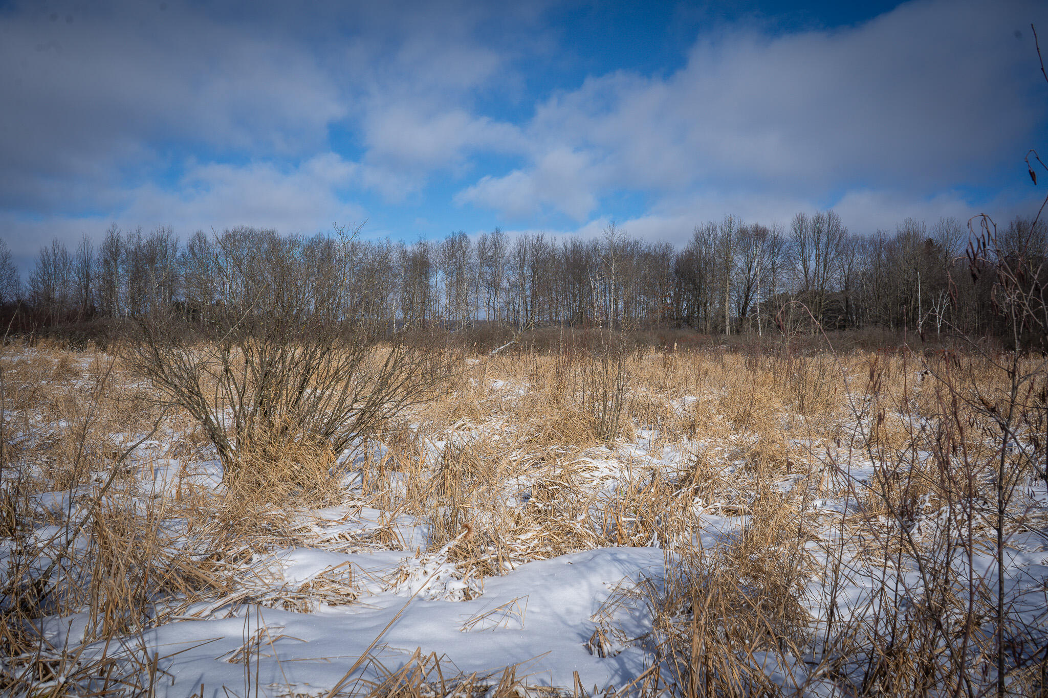 5143 South 8 Mile Road Falmouth, MI 49632 - Photo 50 of 58 DSC07515