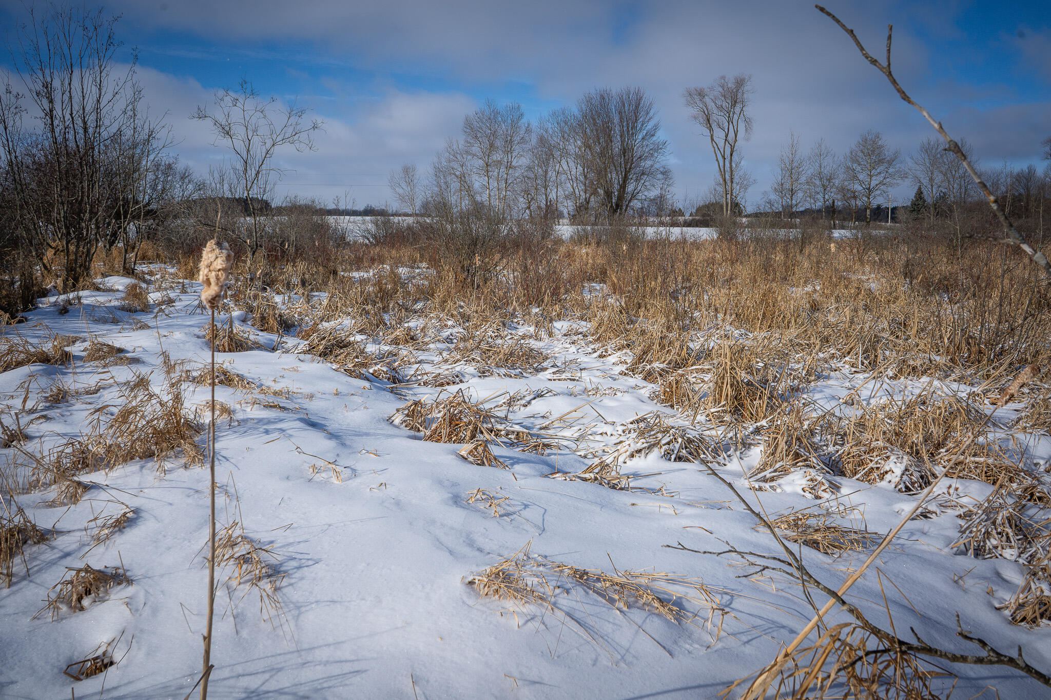 5143 South 8 Mile Road Falmouth, MI 49632 - Photo 52 of 58 DSC07517