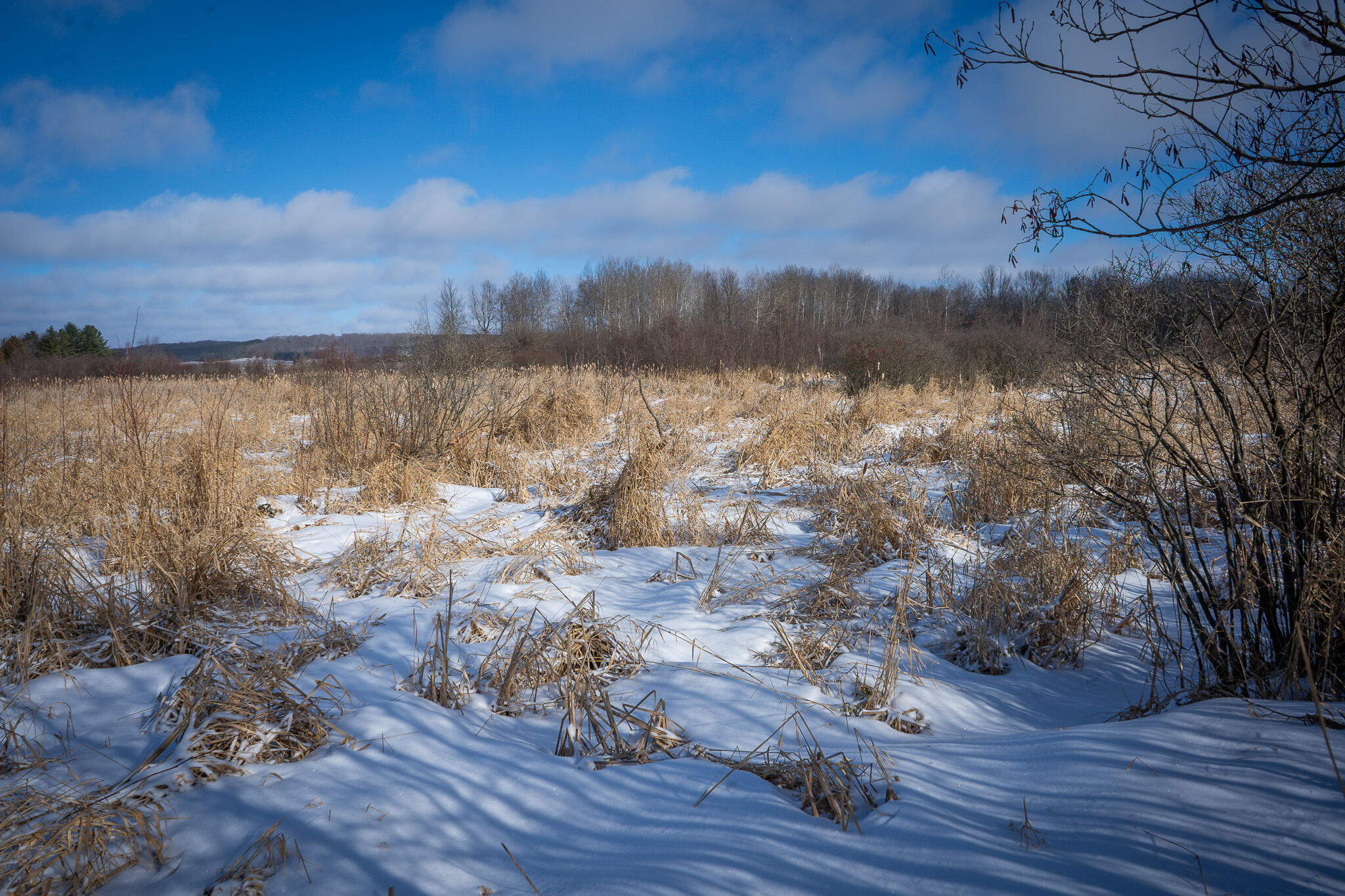 5143 South 8 Mile Road Falmouth, MI 49632 - Photo 53 of 58 DSC07519
