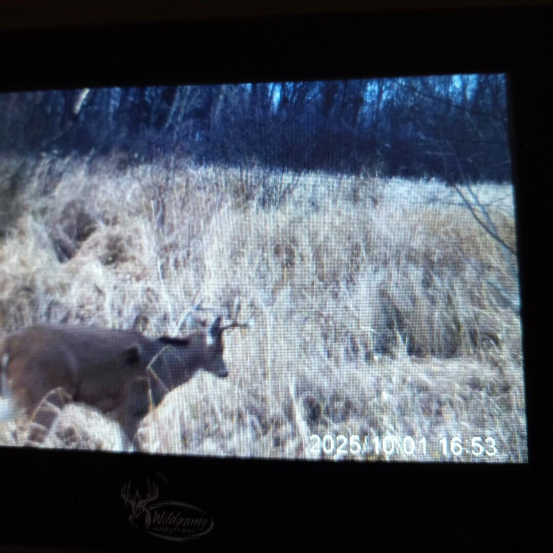 5143 South 8 Mile Road Falmouth, MI 49632 - Photo 55 of 58 Untitled (12)