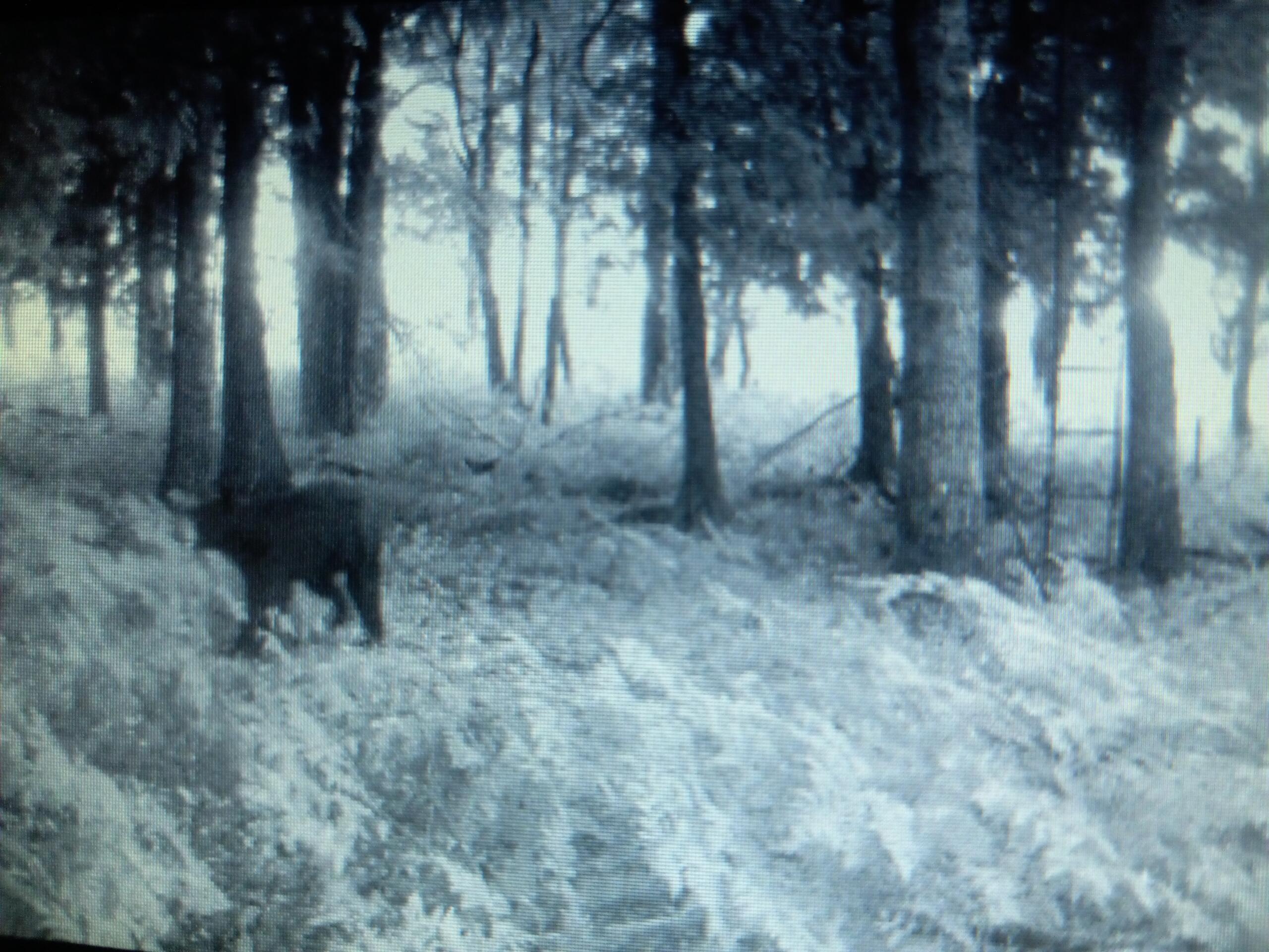 5143 South 8 Mile Road Falmouth, MI 49632 - Photo 56 of 58 Resized_20250917_042616