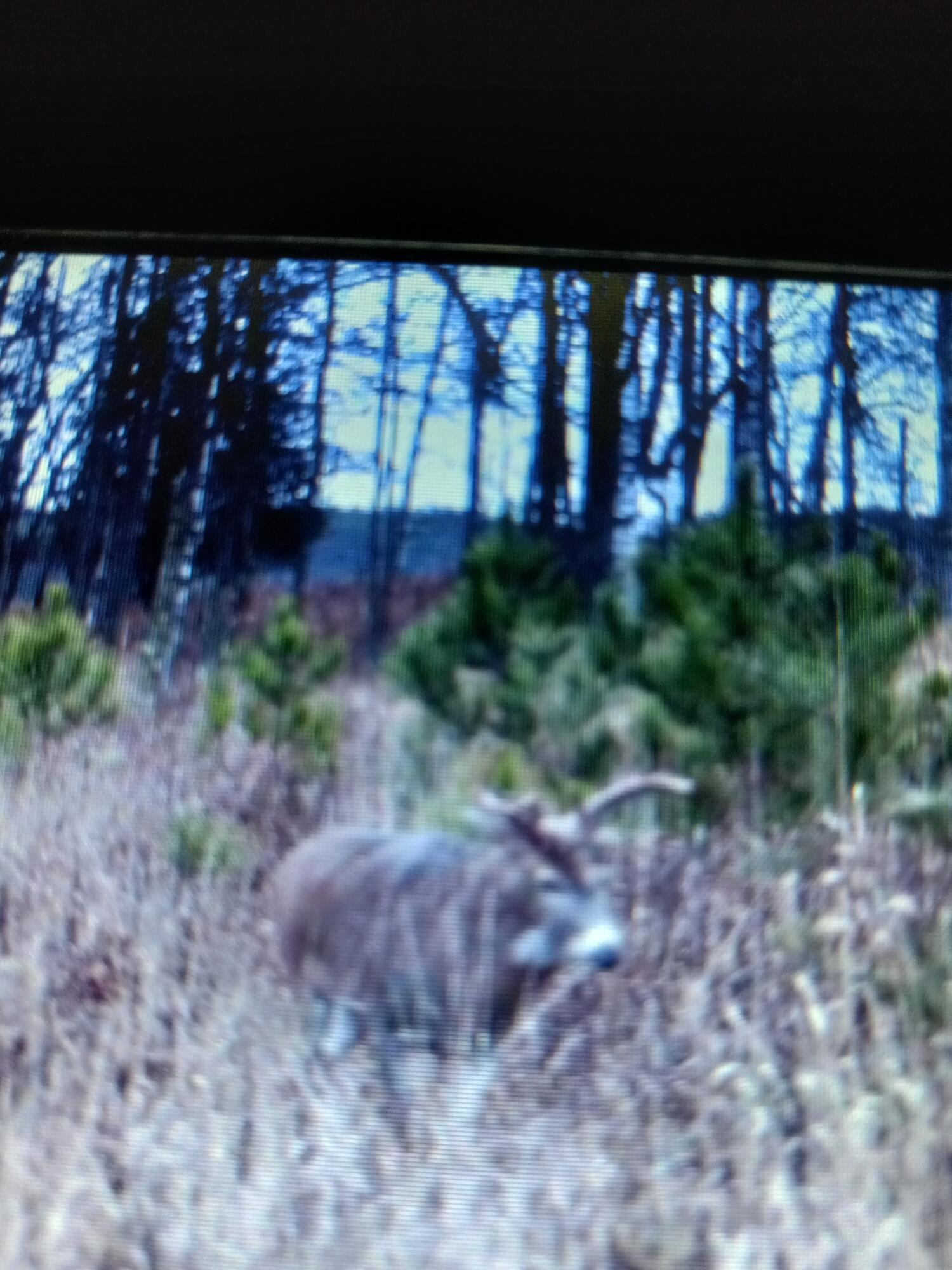 5143 South 8 Mile Road Falmouth, MI 49632 - Photo 57 of 58 Resized_20250917_035445