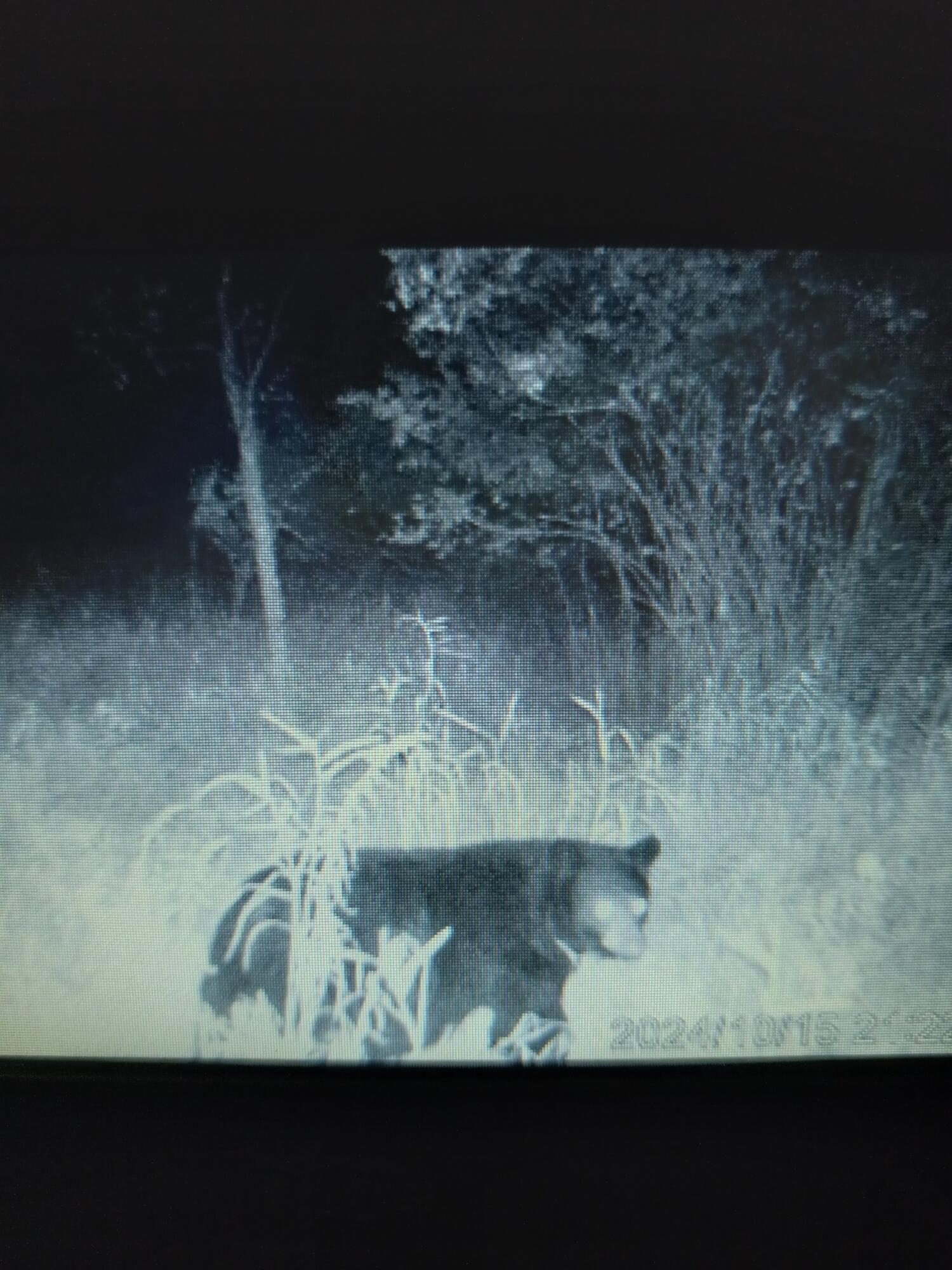 5143 South 8 Mile Road Falmouth, MI 49632 - Photo 58 of 58 Resized_20250917_040232