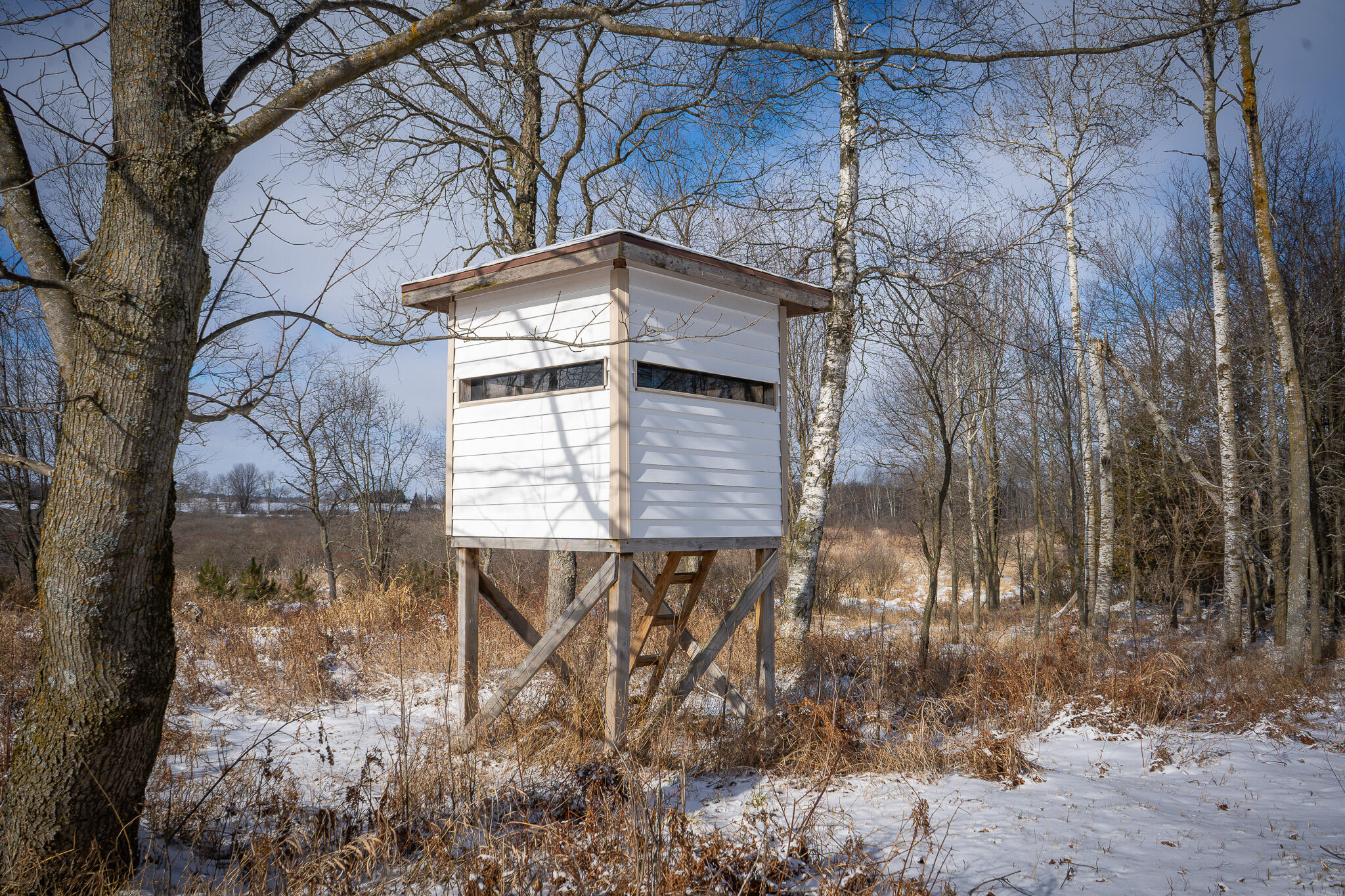 5143 South 8 Mile Road Falmouth, MI 49632 - Photo 7 of 58 DSC07499