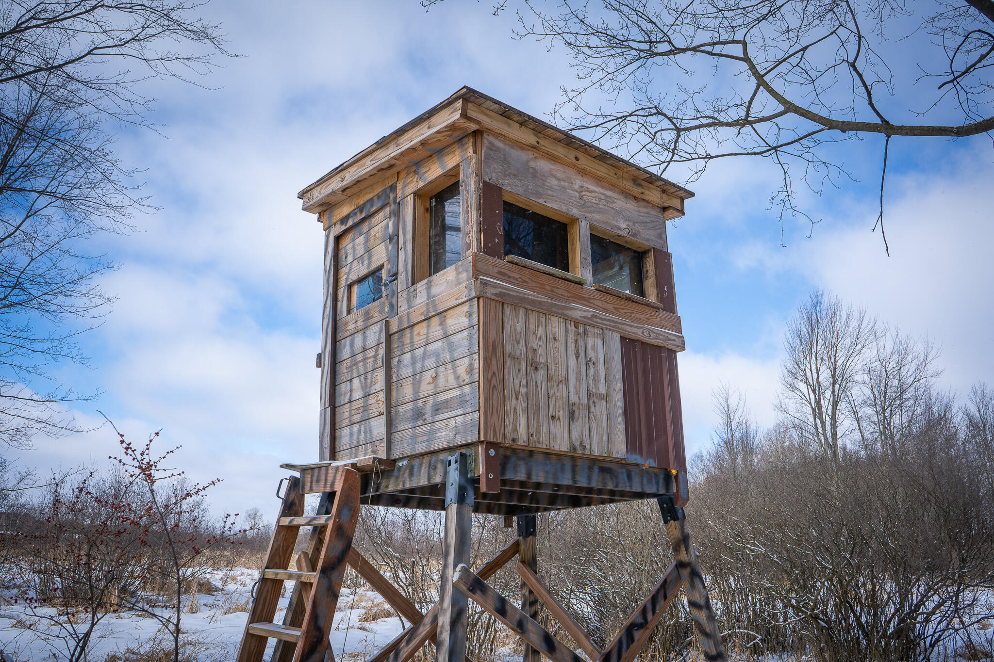 5143 South 8 Mile Road Falmouth, MI 49632 - Photo 8 of 58 DSC07510