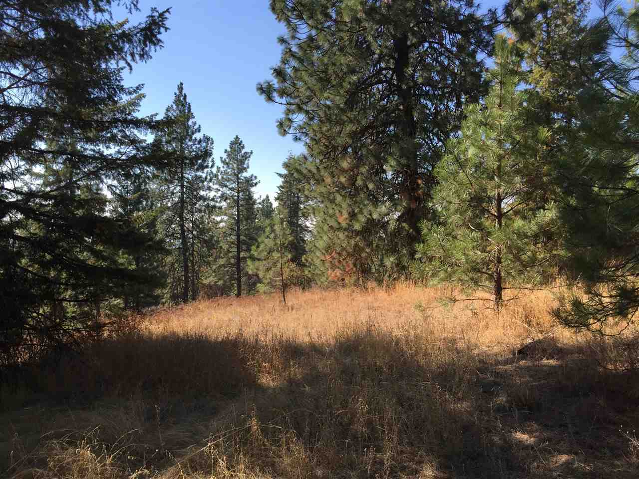 15-xxx North Scribner Branch Road Mead, WA 99021 - Photo 1 of 20