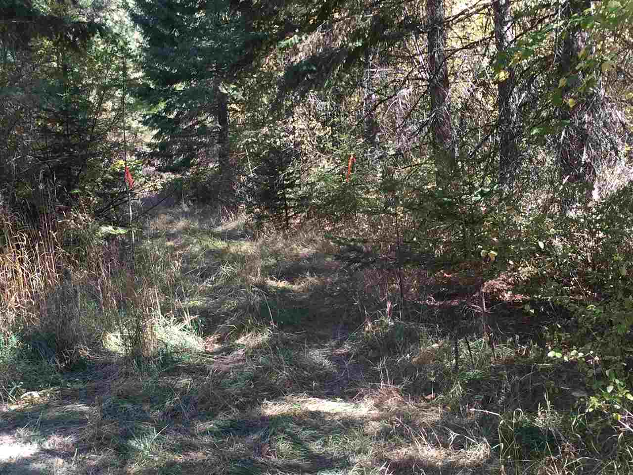 15-xxx North Scribner Branch Road Mead, WA 99021 - Photo 2 of 20