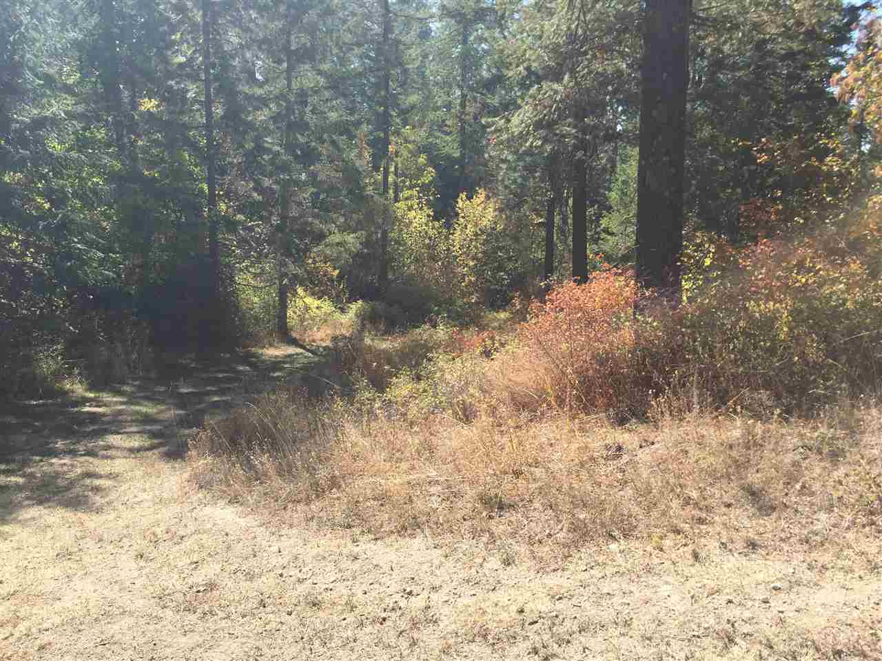 15-xxx North Scribner Branch Road Mead, WA 99021 - Photo 11 of 20