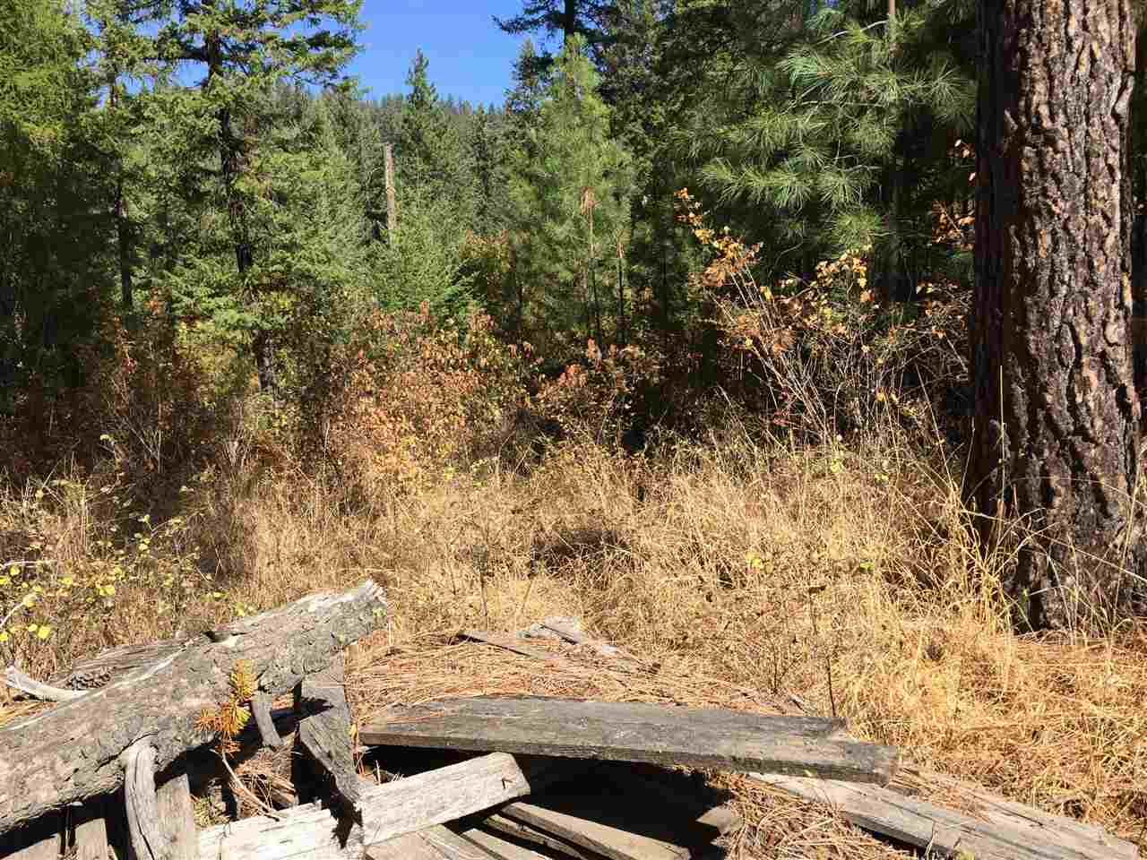 15-xxx North Scribner Branch Road Mead, WA 99021 - Photo 12 of 20