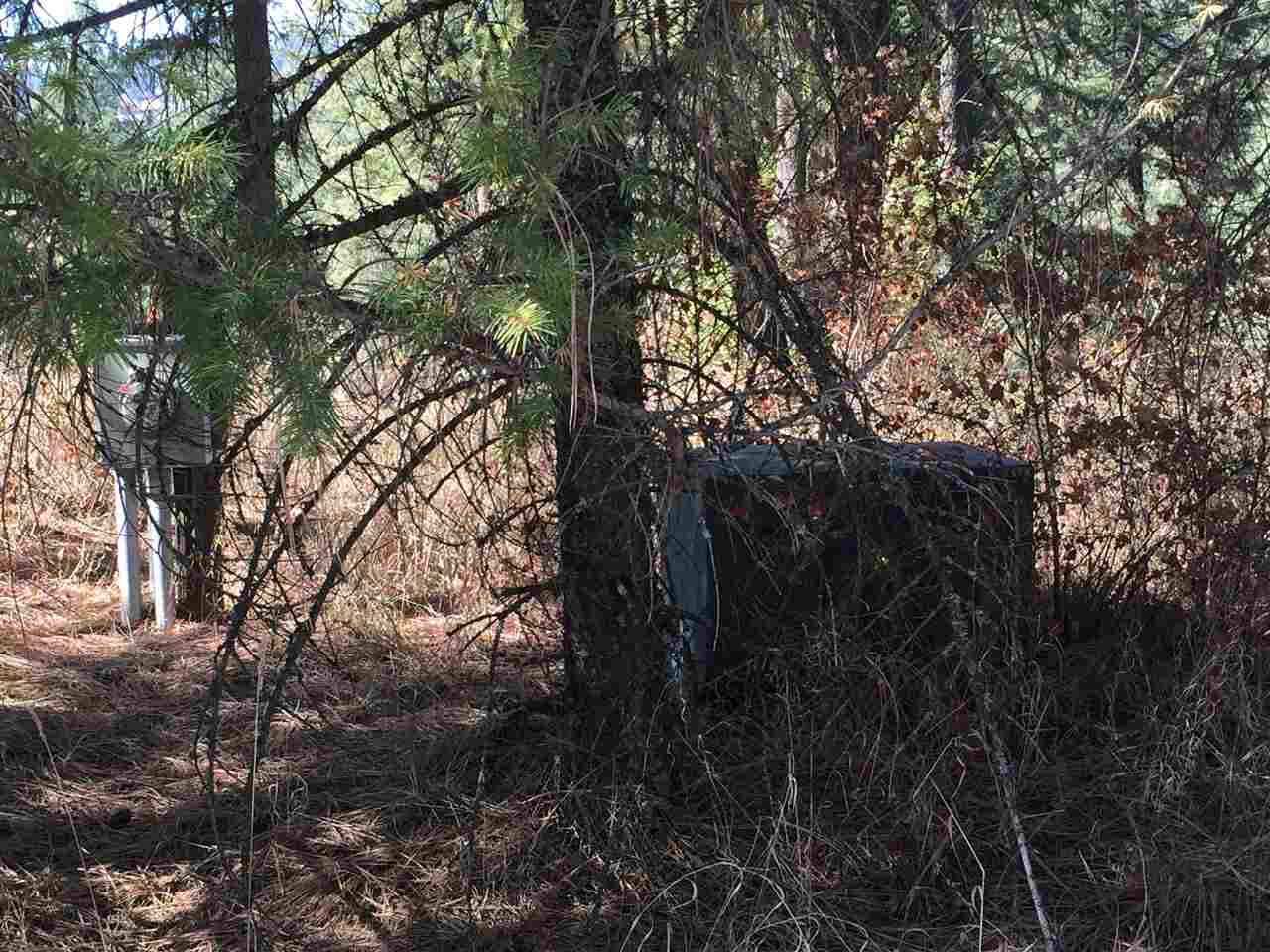 15-xxx North Scribner Branch Road Mead, WA 99021 - Photo 20 of 20