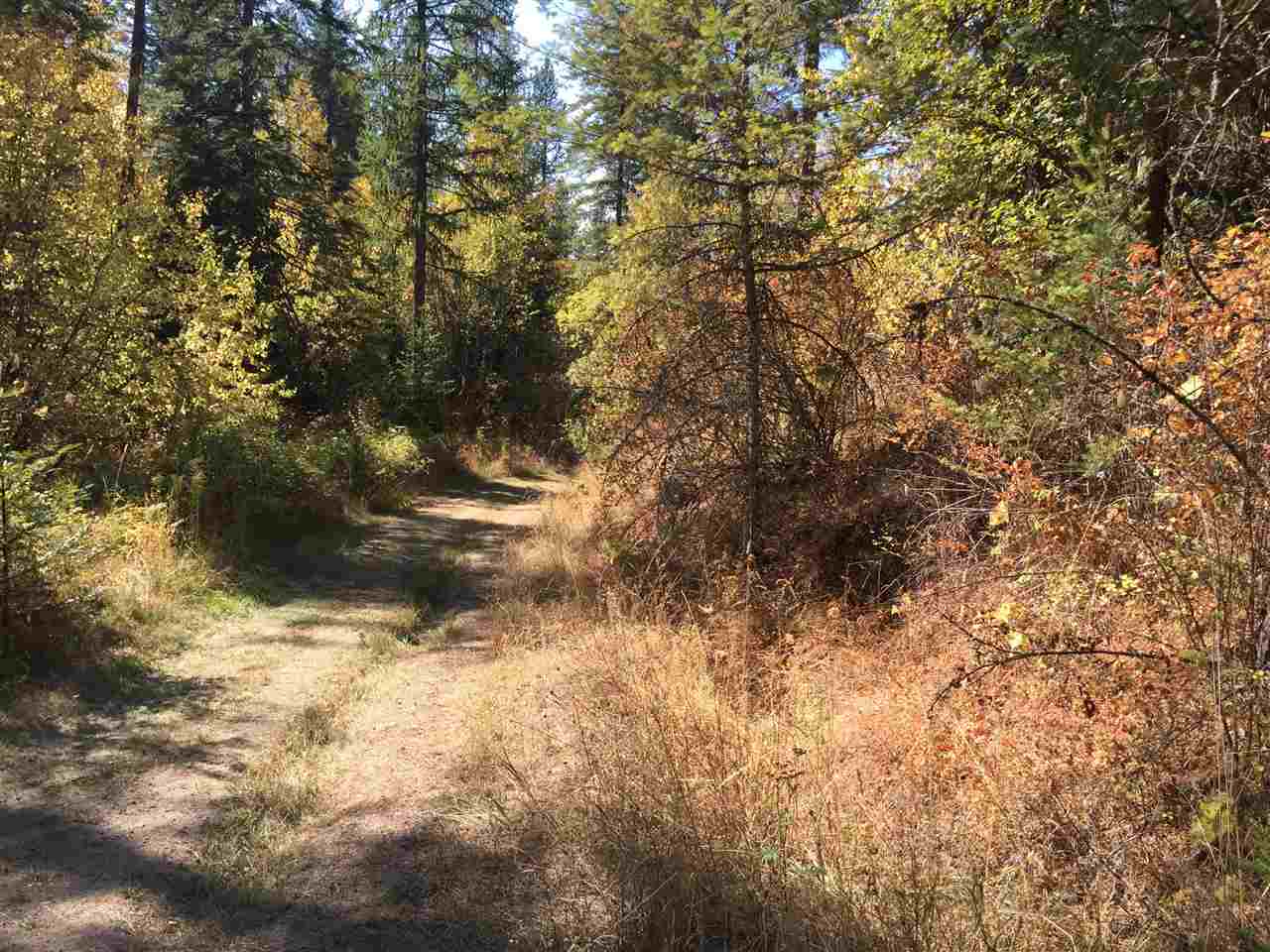 15-xxx North Scribner Branch Road Mead, WA 99021 - Photo 3 of 20
