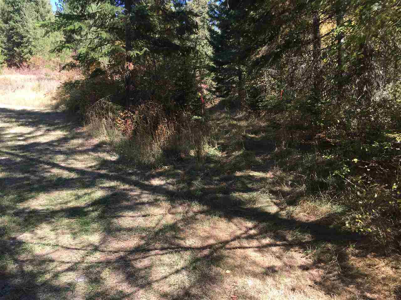 15-xxx North Scribner Branch Road Mead, WA 99021 - Photo 4 of 20