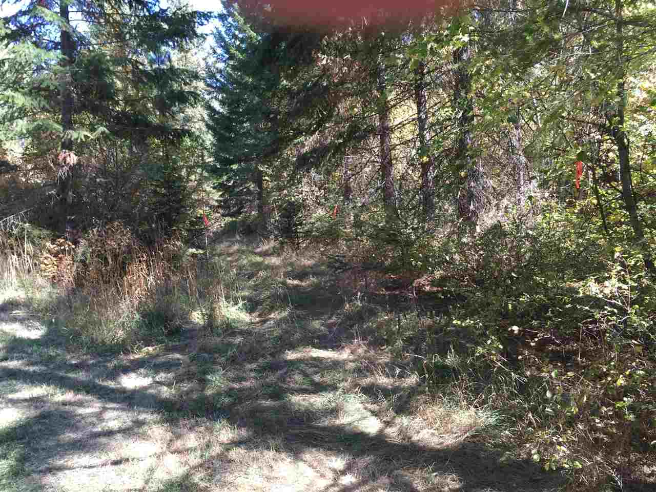 15-xxx North Scribner Branch Road Mead, WA 99021 - Photo 5 of 20