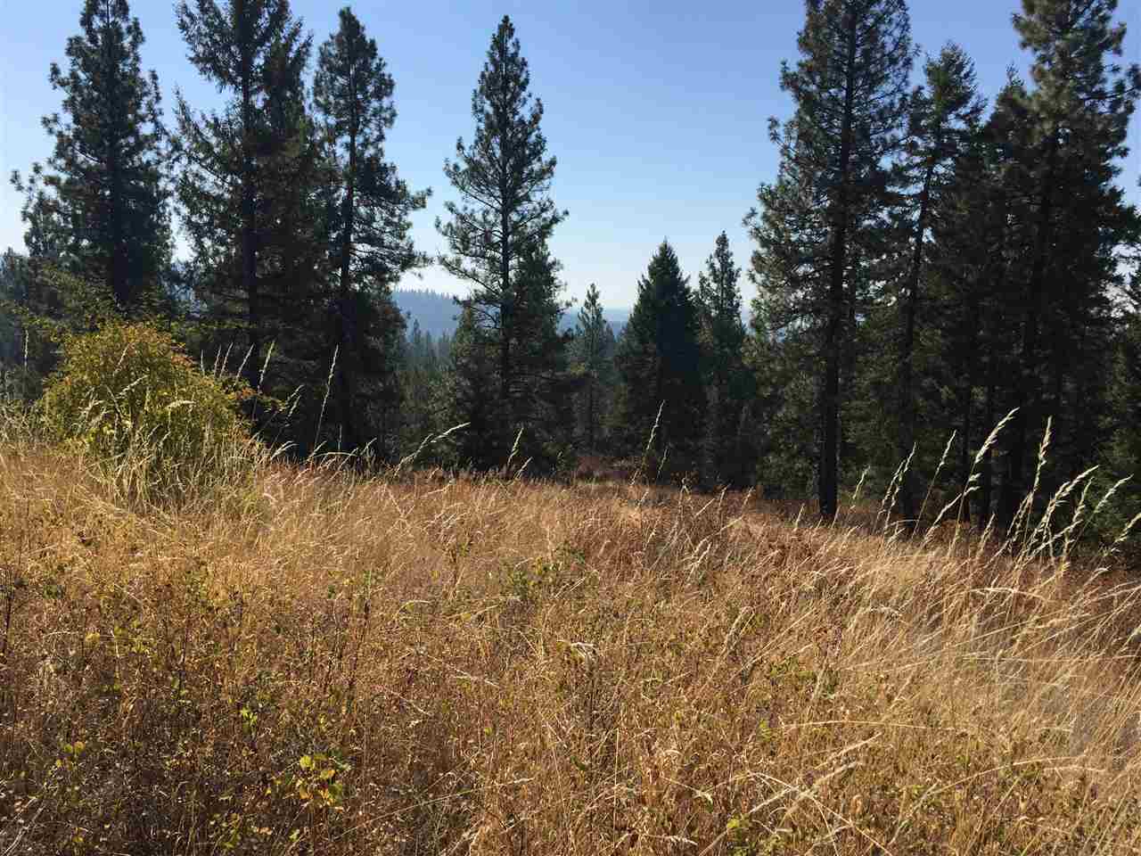 15-xxx North Scribner Branch Road Mead, WA 99021 - Photo 6 of 20