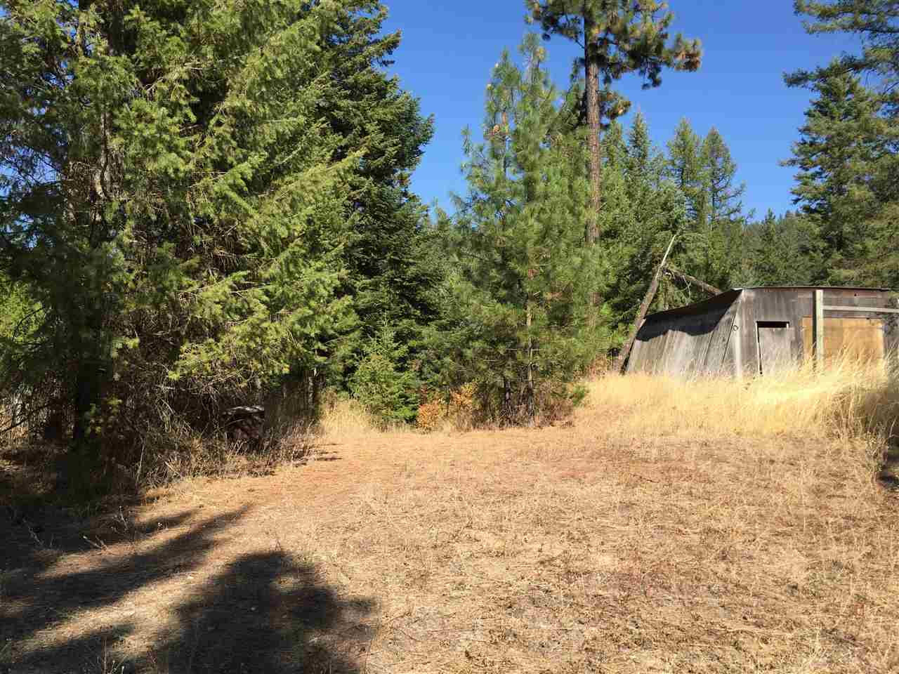 15-xxx North Scribner Branch Road Mead, WA 99021 - Photo 7 of 20