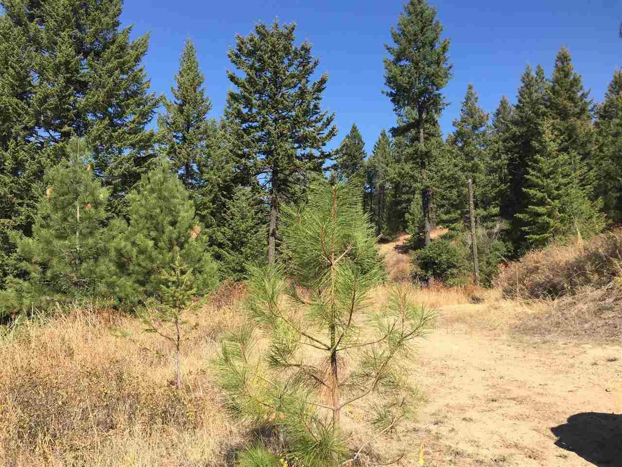 15-xxx North Scribner Branch Road Mead, WA 99021 - Photo 8 of 20