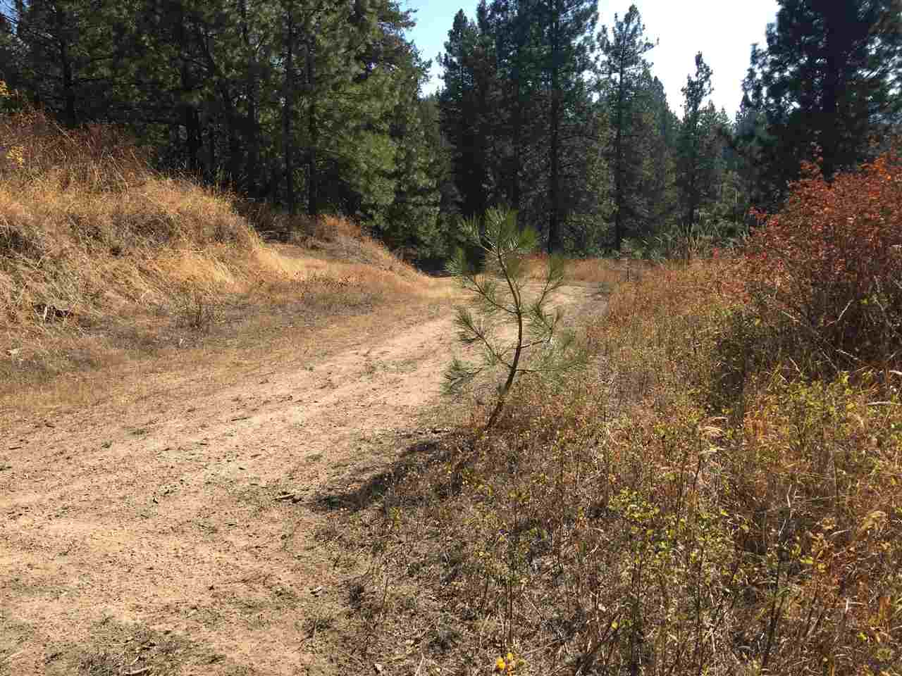 15-xxx North Scribner Branch Road Mead, WA 99021 - Photo 9 of 20