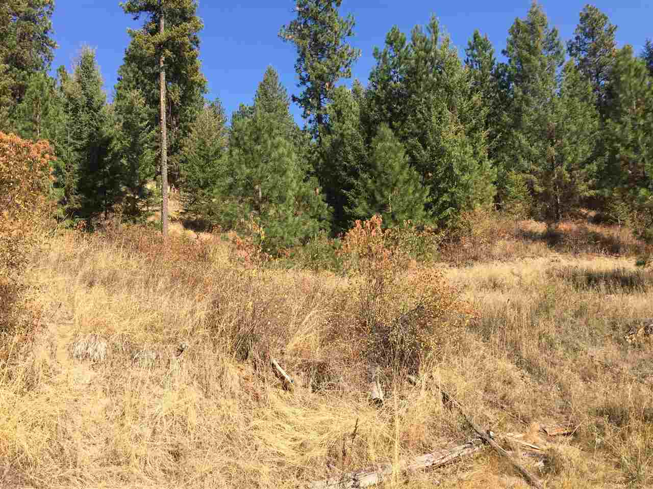 15-xxx North Scribner Branch Road Mead, WA 99021 - Photo 10 of 20