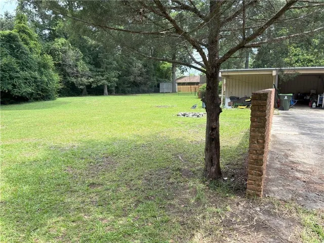 a view of a park with tree s