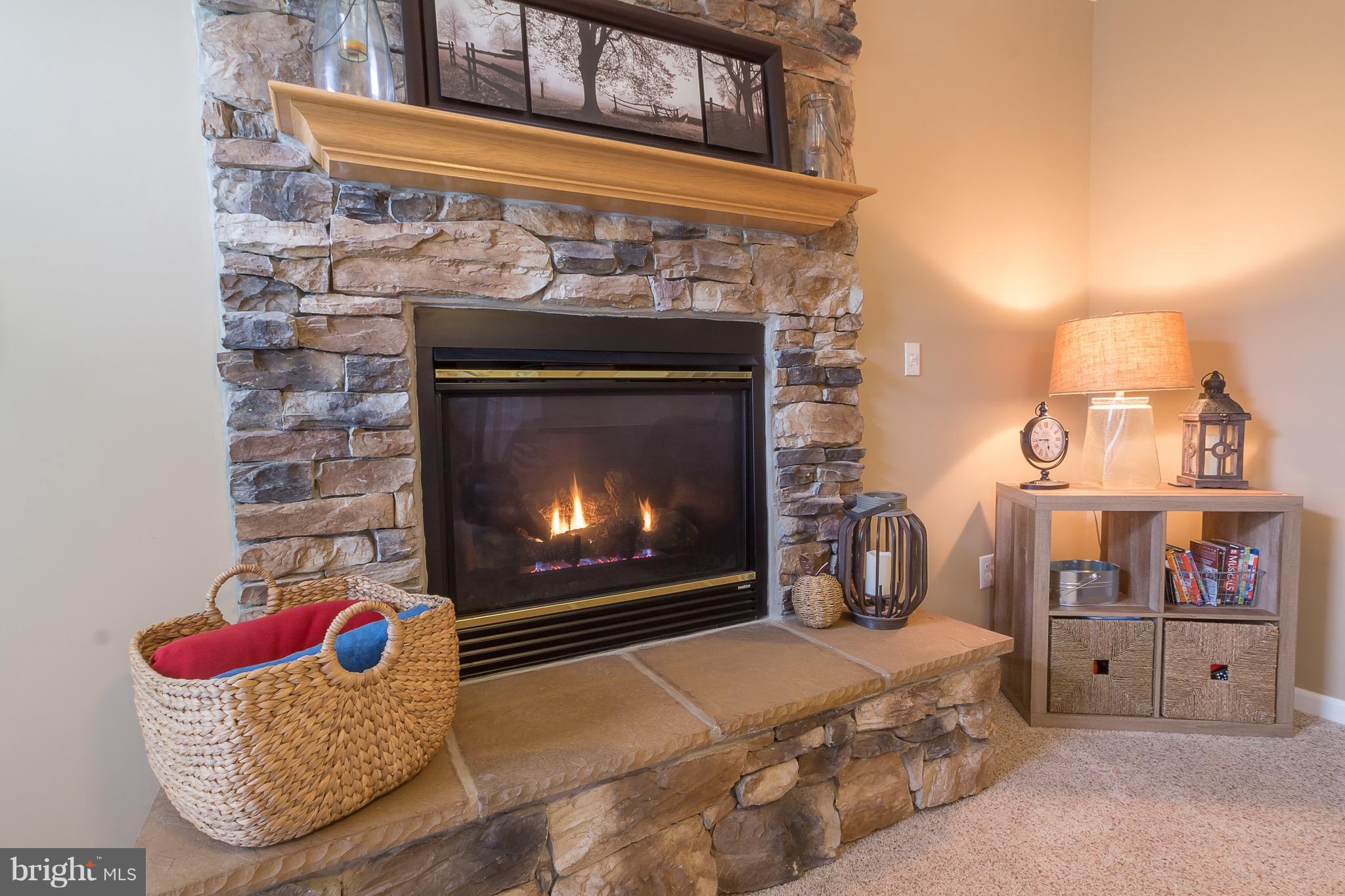 310 Stone Run Drive Rising Sun, MD 21911 - Photo 12 of 23 Family Room