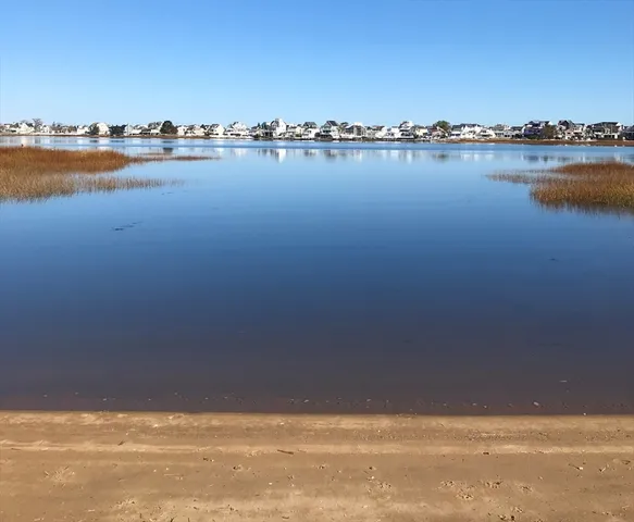 a couple of potted plants in front of a brick building
