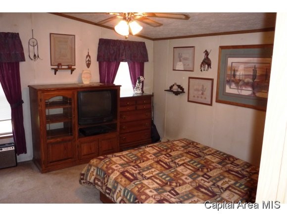 4063 Shaler Road Springfield, IL 62707 - Photo 4 of 24