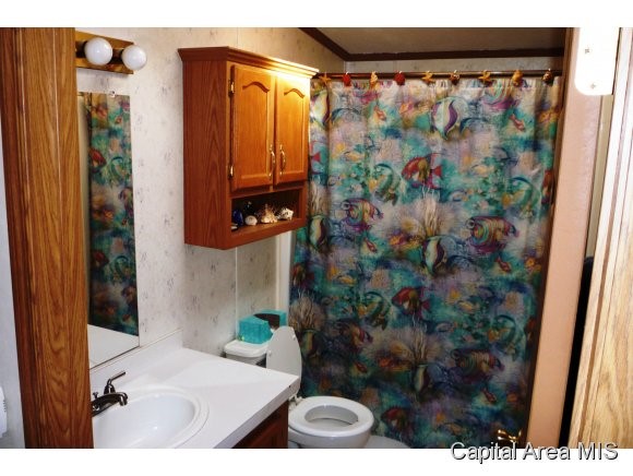 4063 Shaler Road Springfield, IL 62707 - Photo 10 of 24