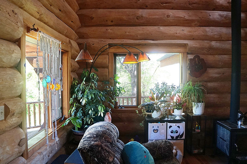 3526 East 2179th Road Ottawa, IL 61350 - Photo 11 of 58 a living room with furniture and a potted plant