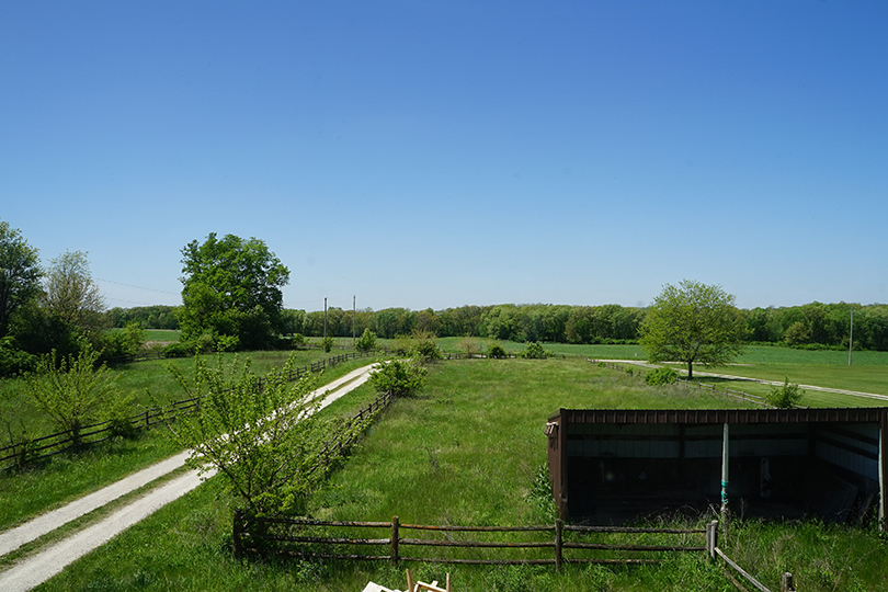 3526 East 2179th Road Ottawa, IL 61350 - Photo 52 of 58 a view of a grassy field with trees