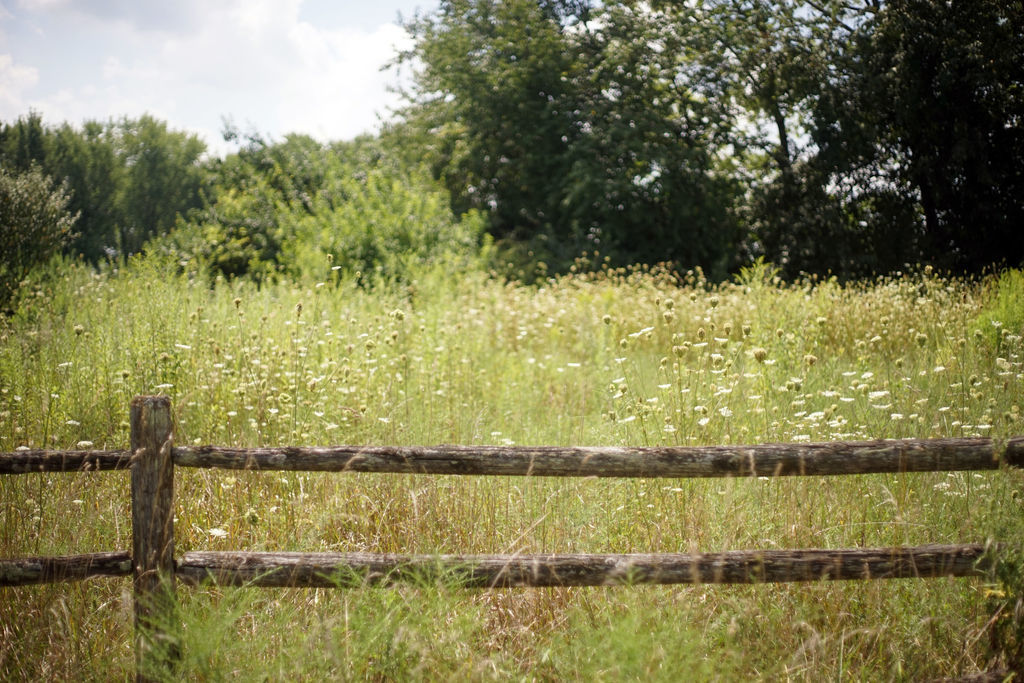 3526 East 2179th Road Ottawa, IL 61350 - Photo 57 of 58 a view of a lake