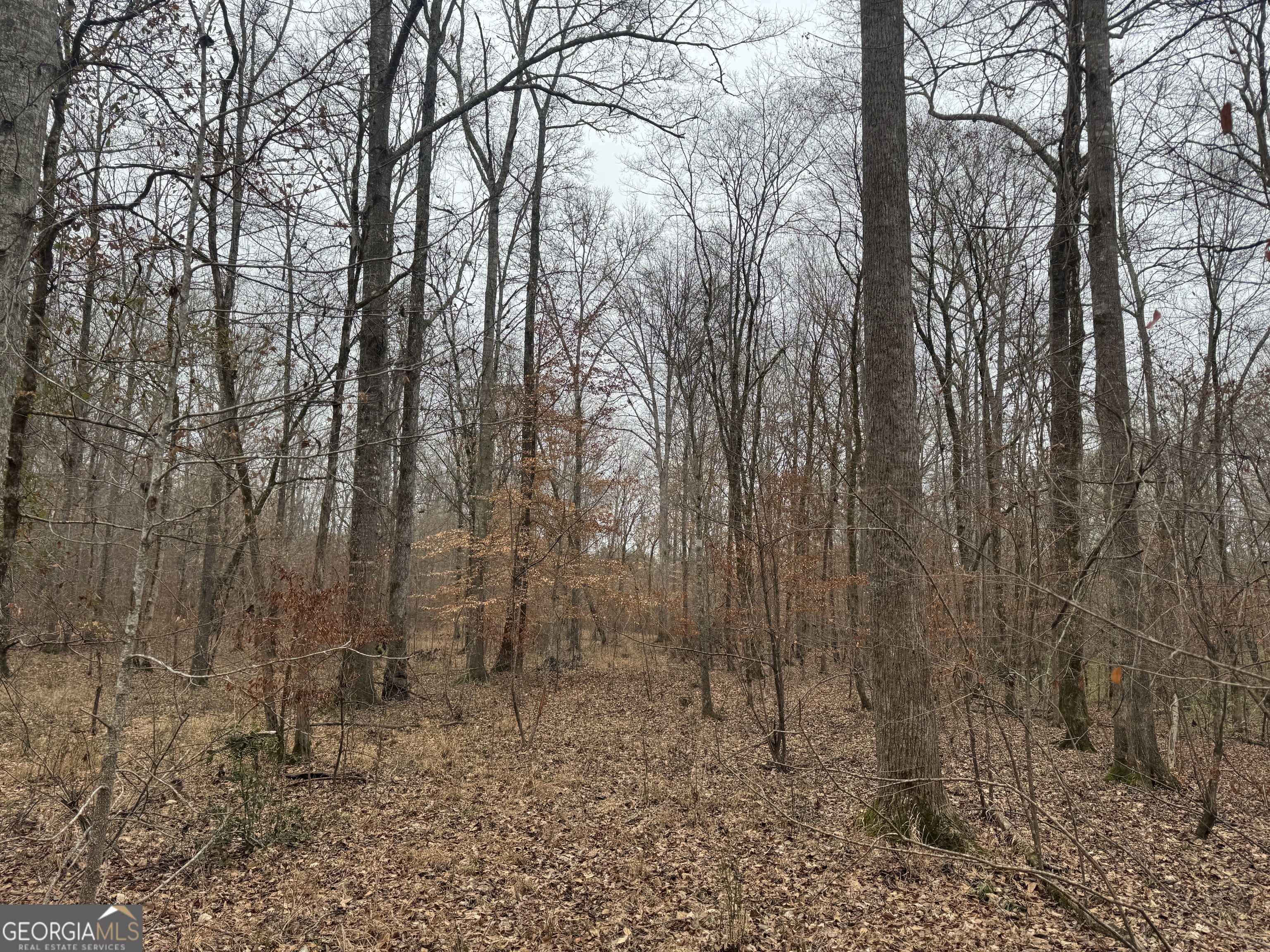 226.04-ac Kingsboro Road Hamilton, GA 31811 - Photo 11 of 21