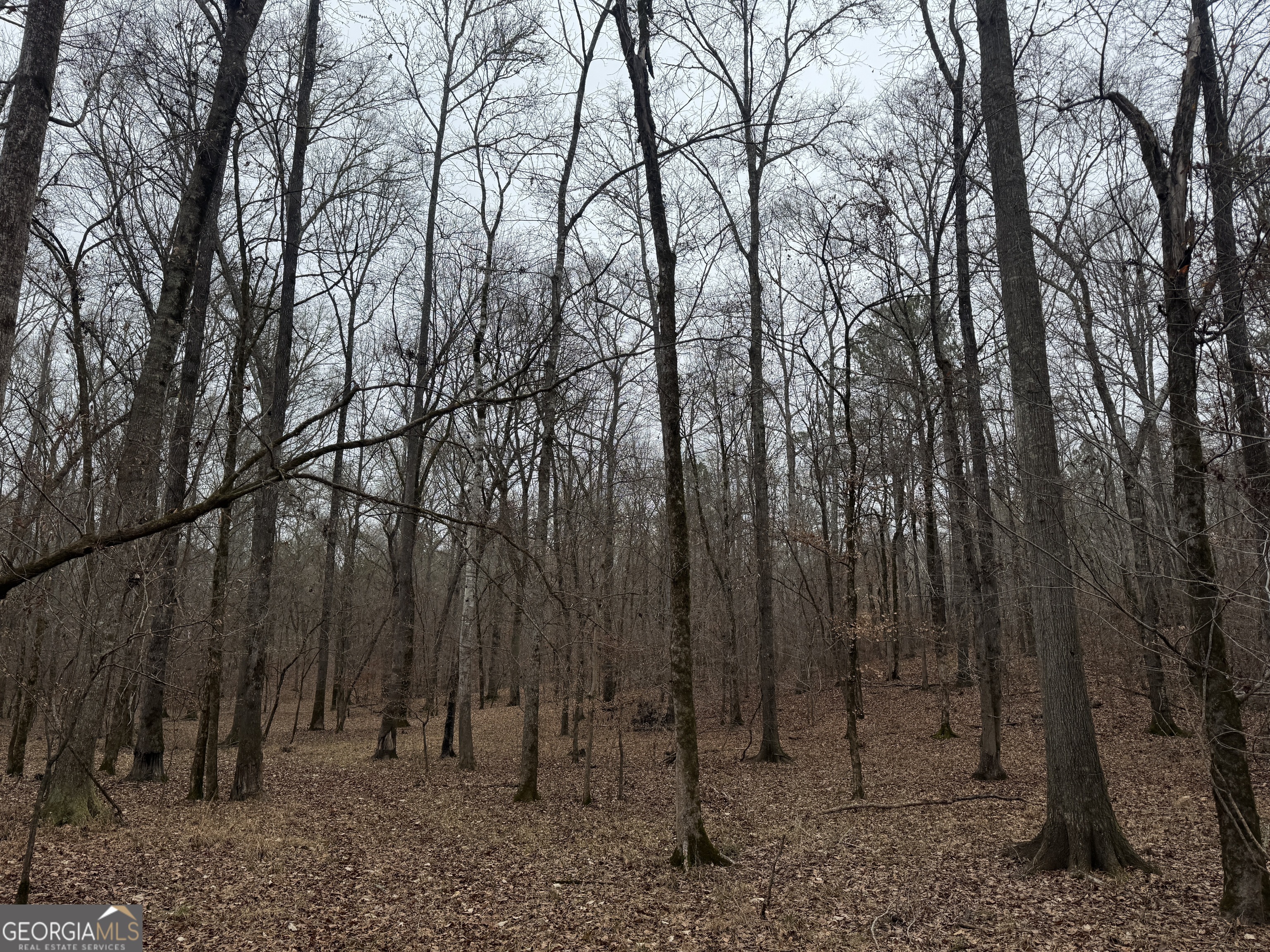 226.04-ac Kingsboro Road Hamilton, GA 31811 - Photo 13 of 21