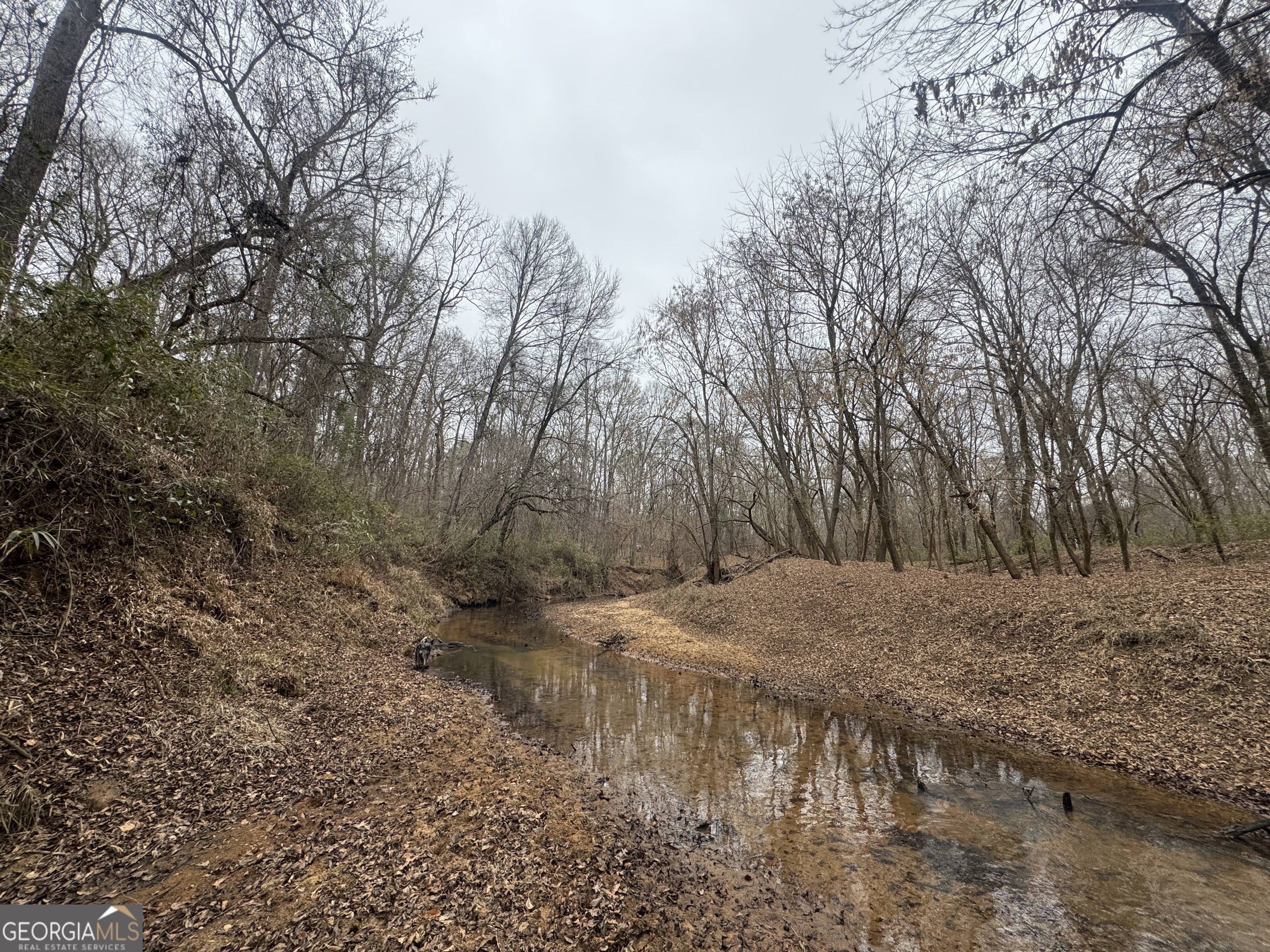 226.04-ac Kingsboro Road Hamilton, GA 31811 - Photo 14 of 21