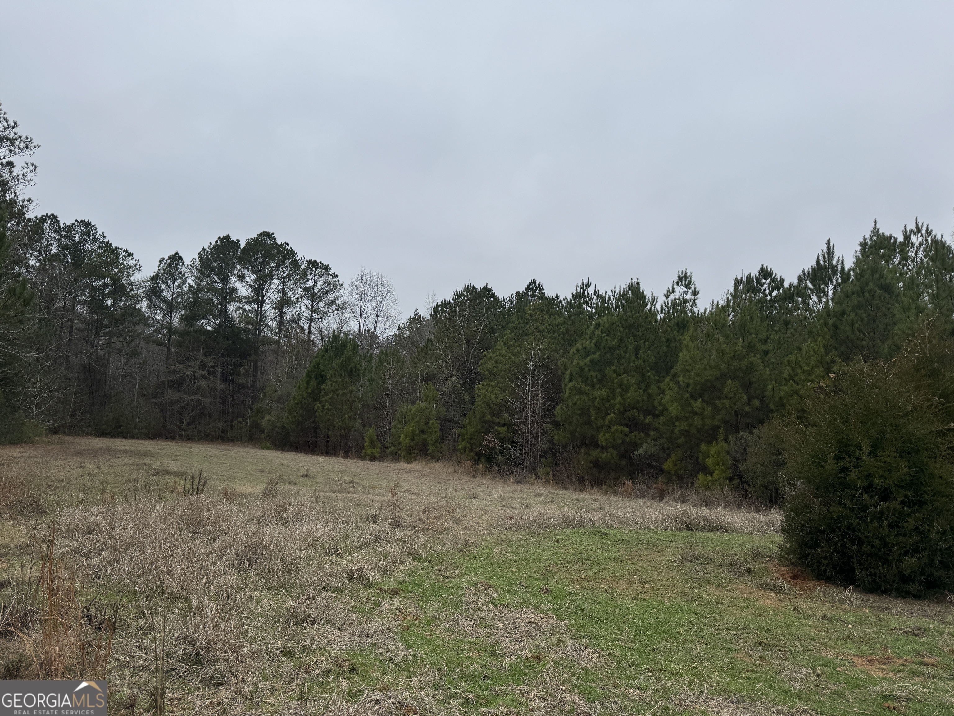 226.04-ac Kingsboro Road Hamilton, GA 31811 - Photo 15 of 21