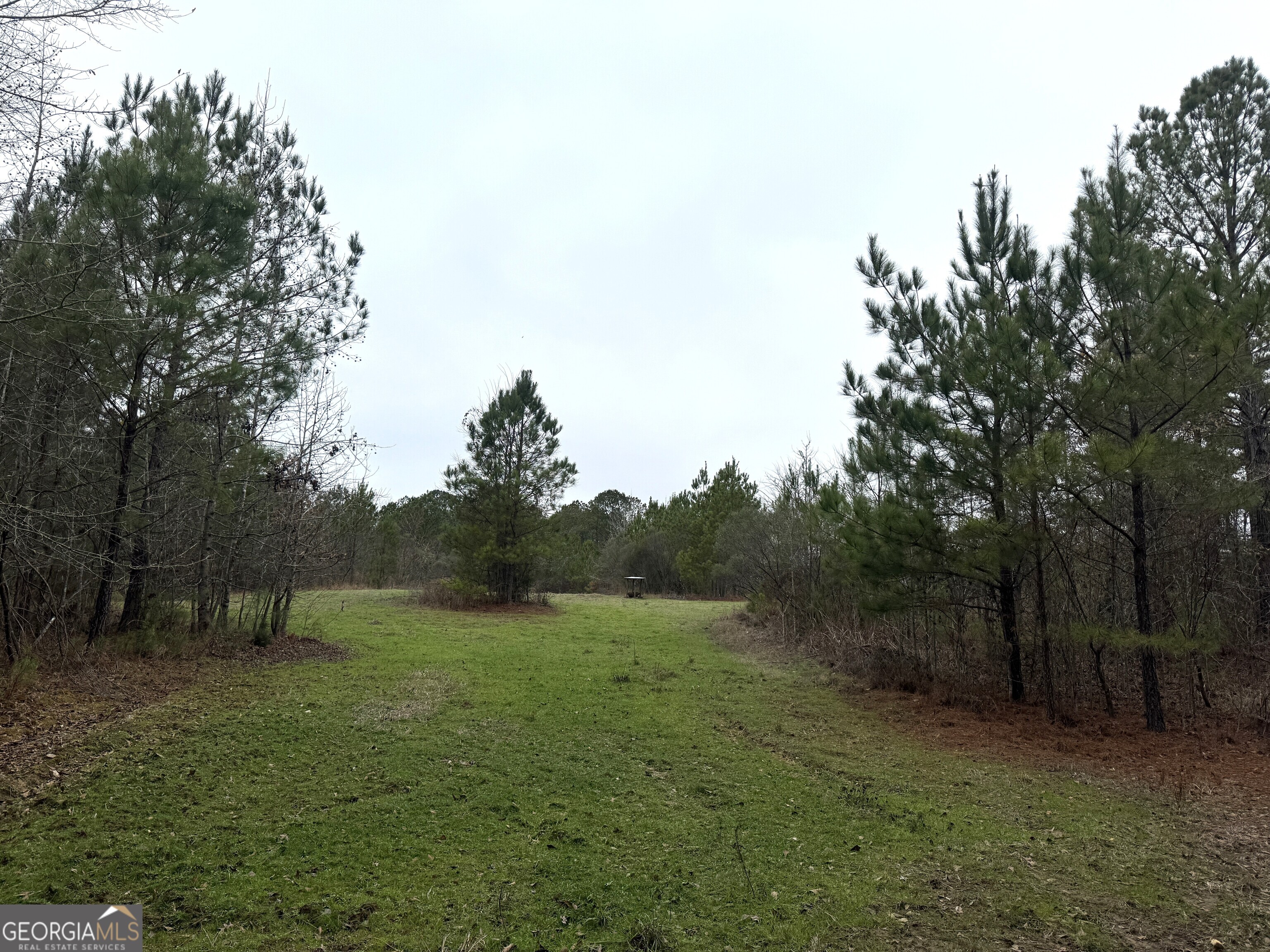 226.04-ac Kingsboro Road Hamilton, GA 31811 - Photo 16 of 21