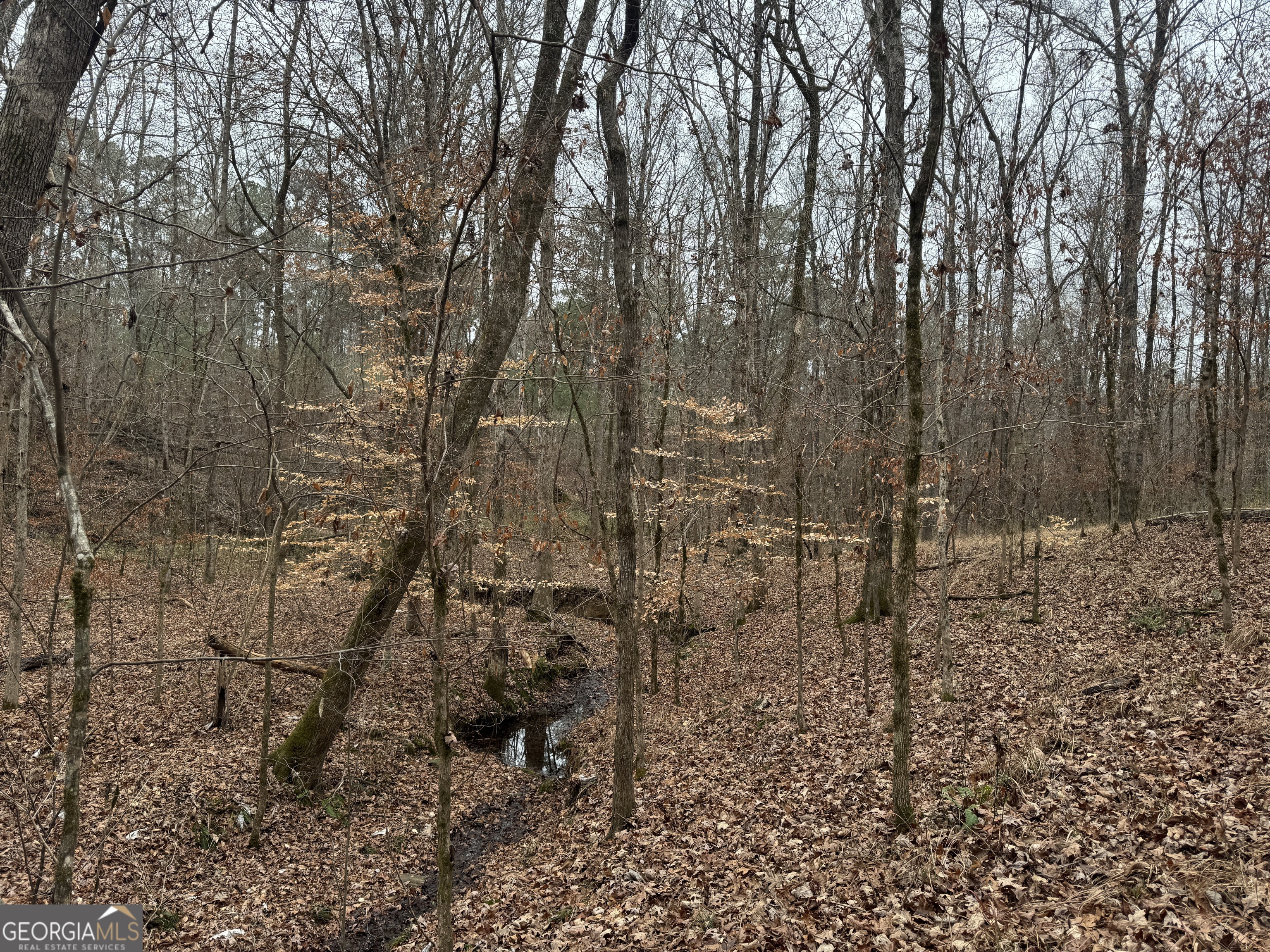 226.04-ac Kingsboro Road Hamilton, GA 31811 - Photo 17 of 21