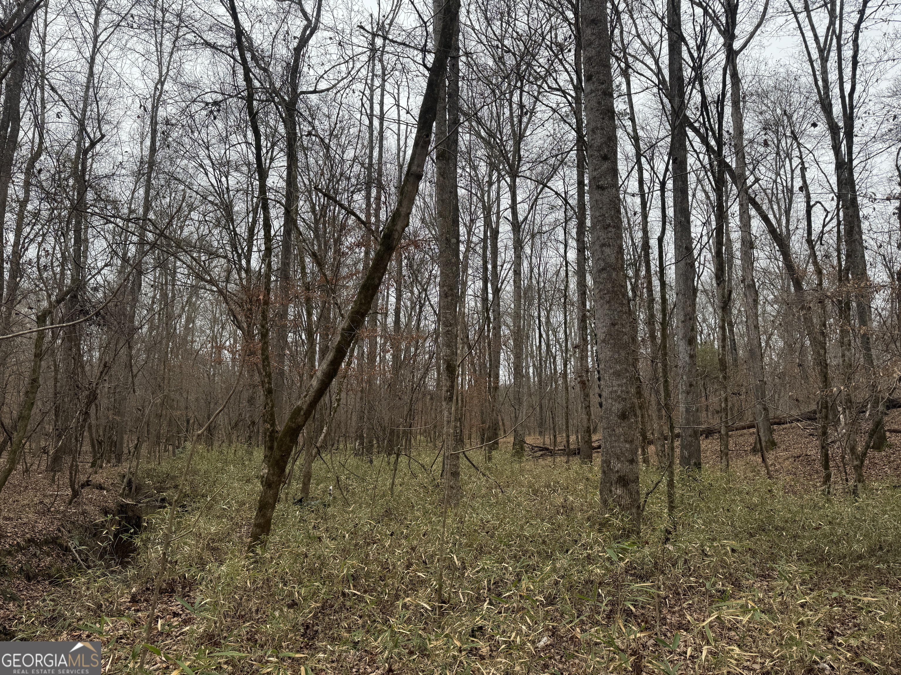 226.04-ac Kingsboro Road Hamilton, GA 31811 - Photo 18 of 21