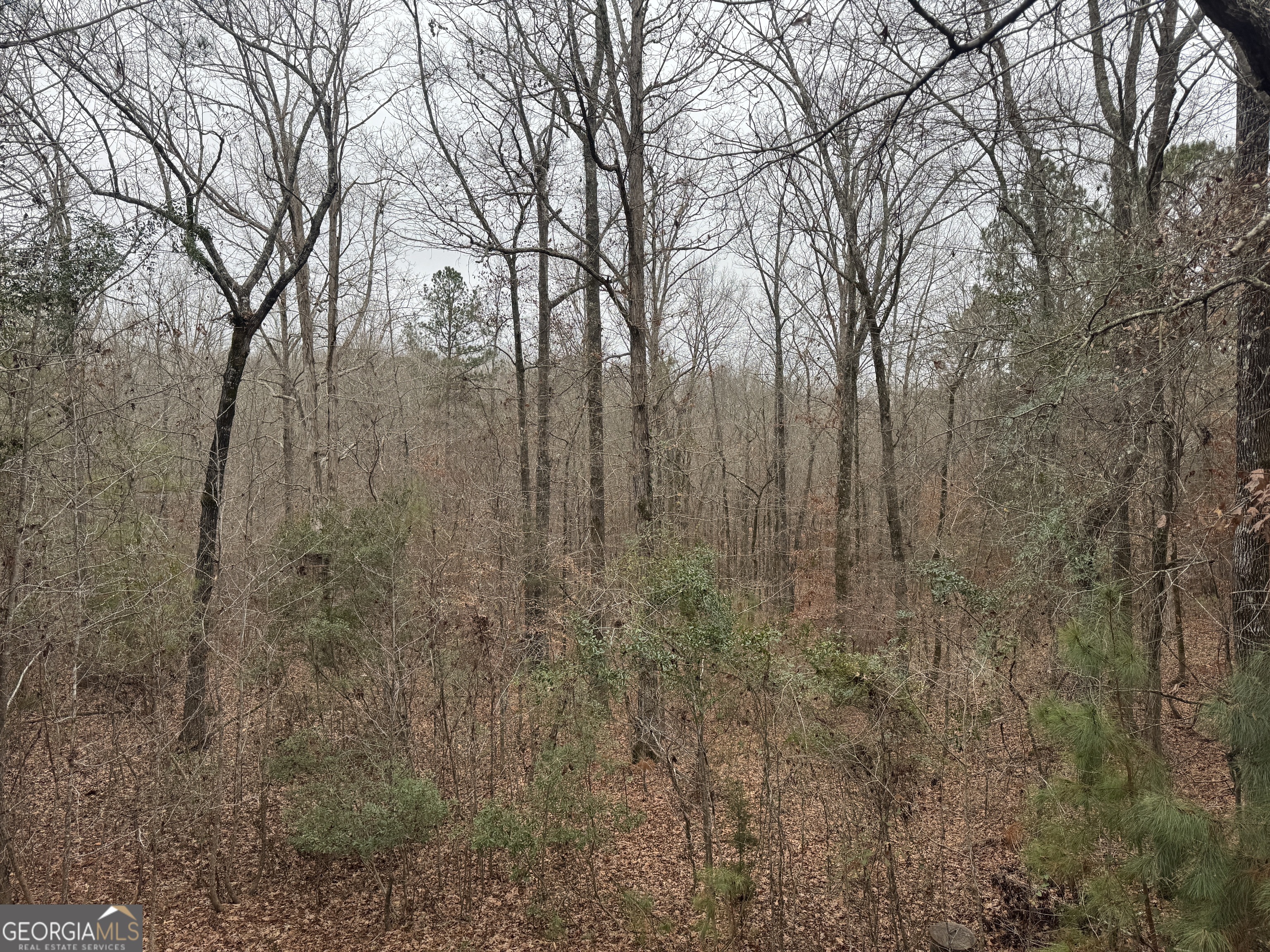 226.04-ac Kingsboro Road Hamilton, GA 31811 - Photo 19 of 21