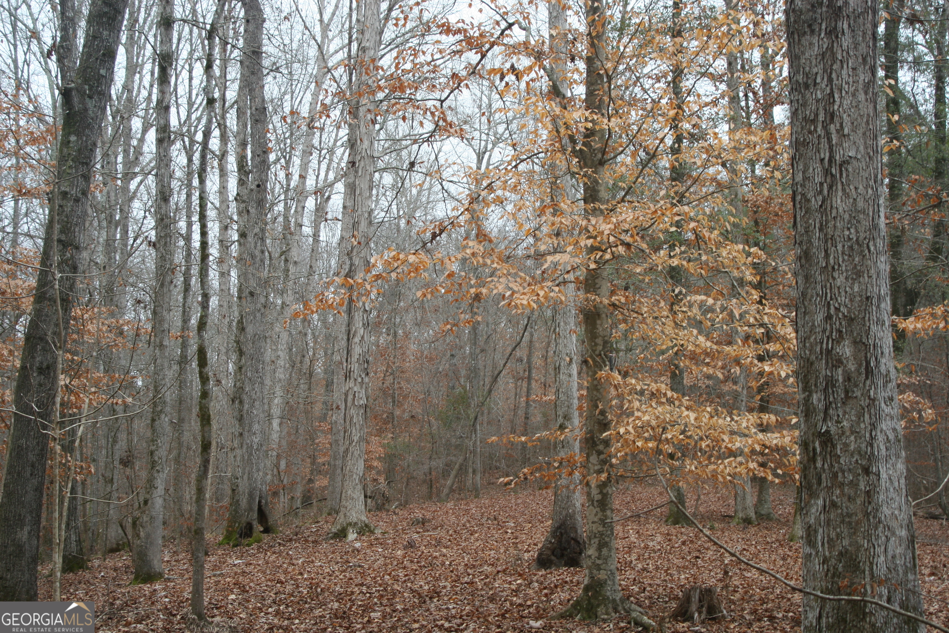 226.04-ac Kingsboro Road Hamilton, GA 31811 - Photo 20 of 21