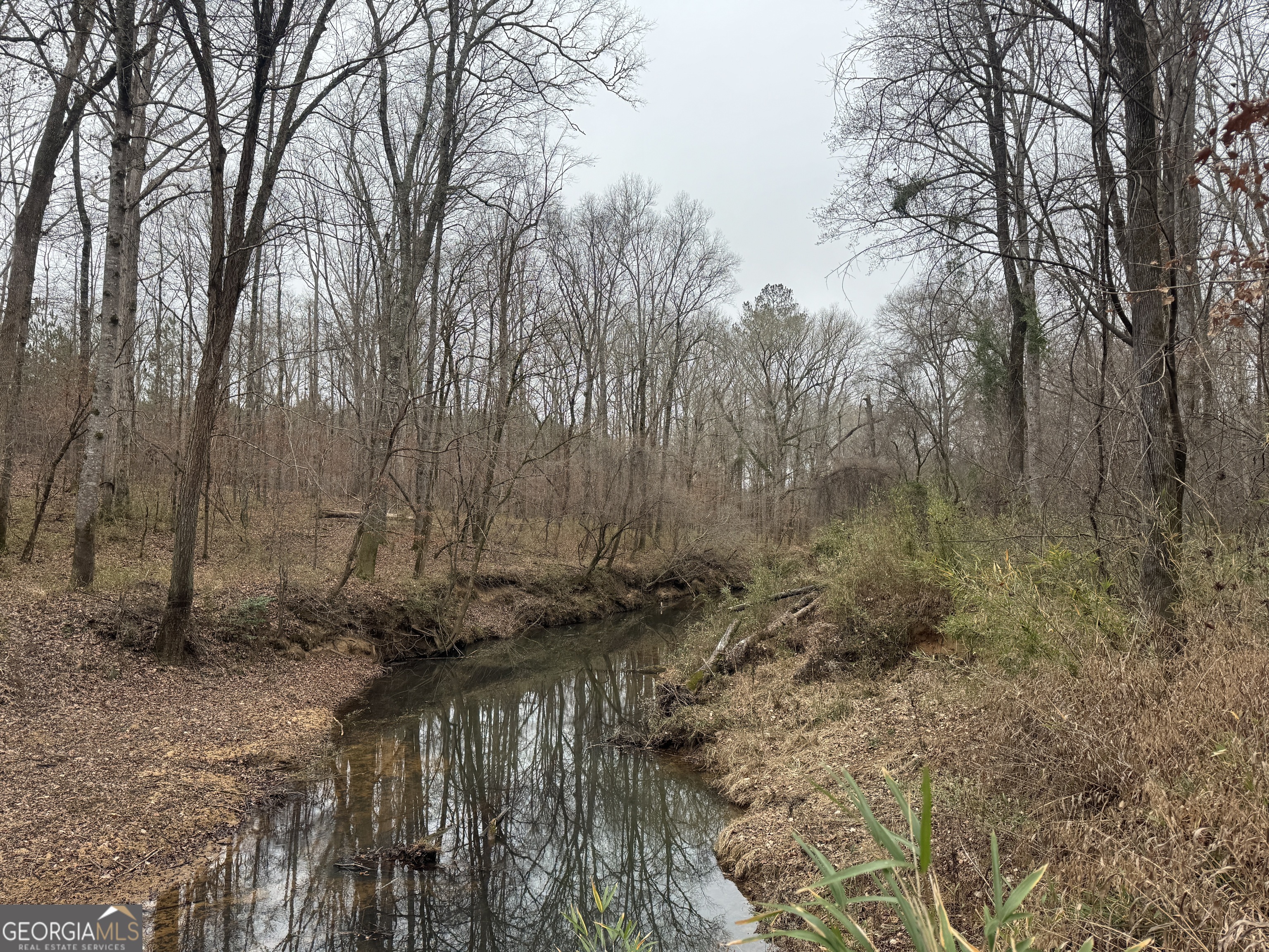 226.04-ac Kingsboro Road Hamilton, GA 31811 - Photo 2 of 21