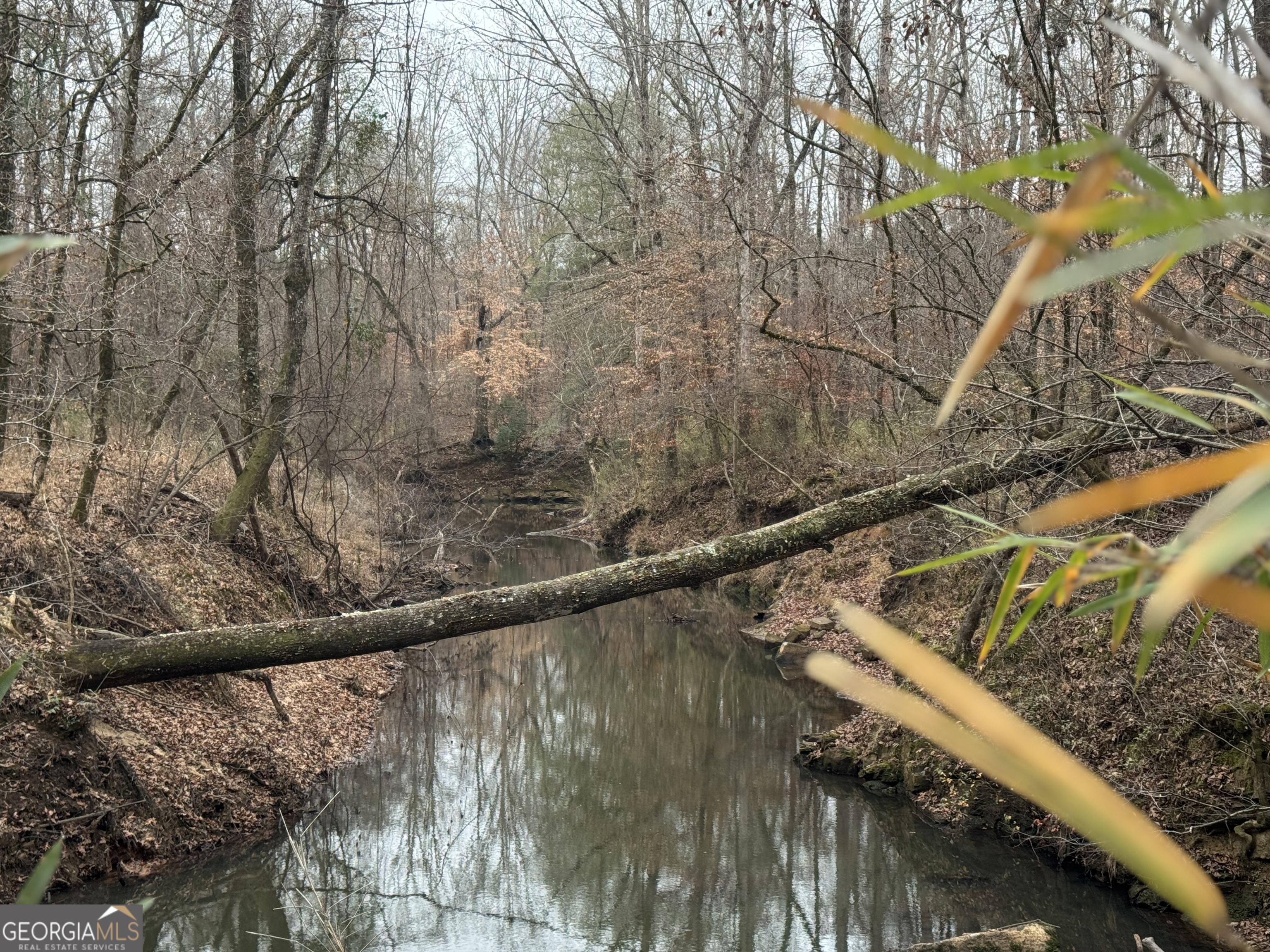 226.04-ac Kingsboro Road Hamilton, GA 31811 - Photo 21 of 21