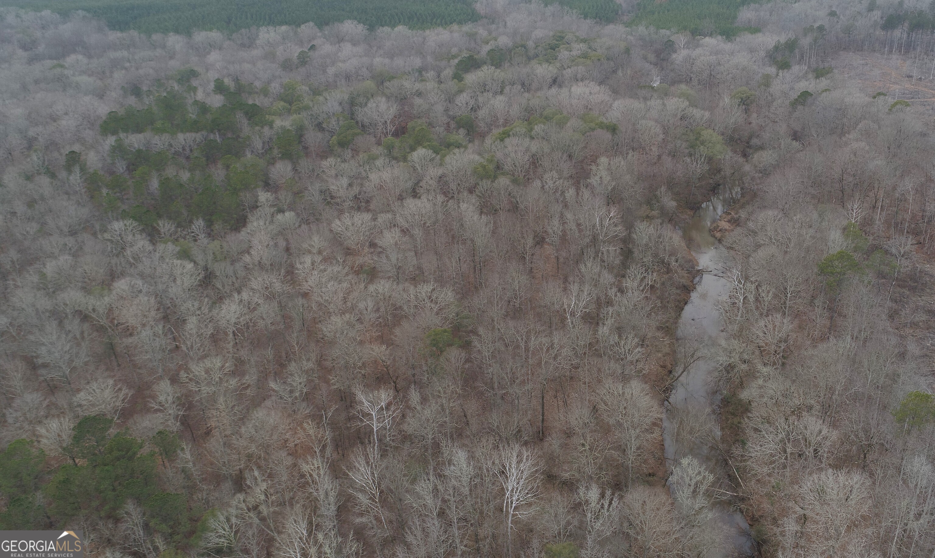 226.04-ac Kingsboro Road Hamilton, GA 31811 - Photo 3 of 21