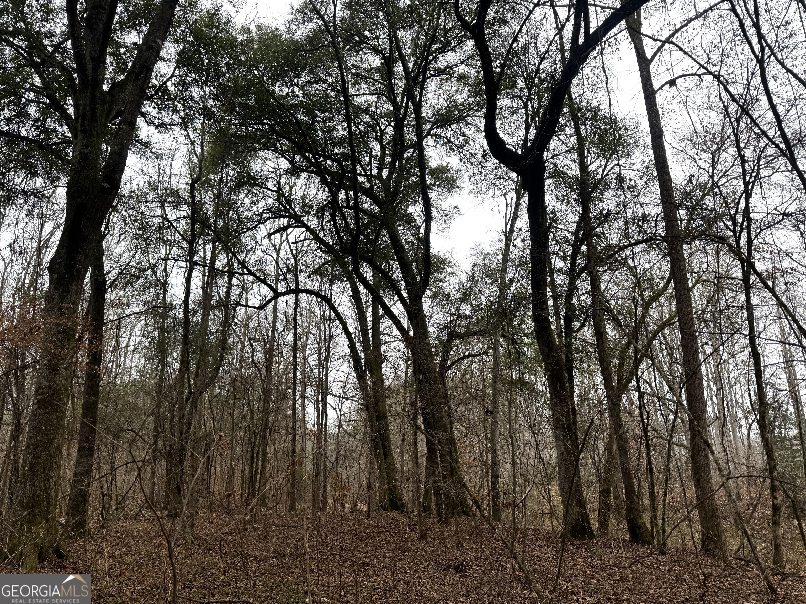 226.04-ac Kingsboro Road Hamilton, GA 31811 - Photo 4 of 21