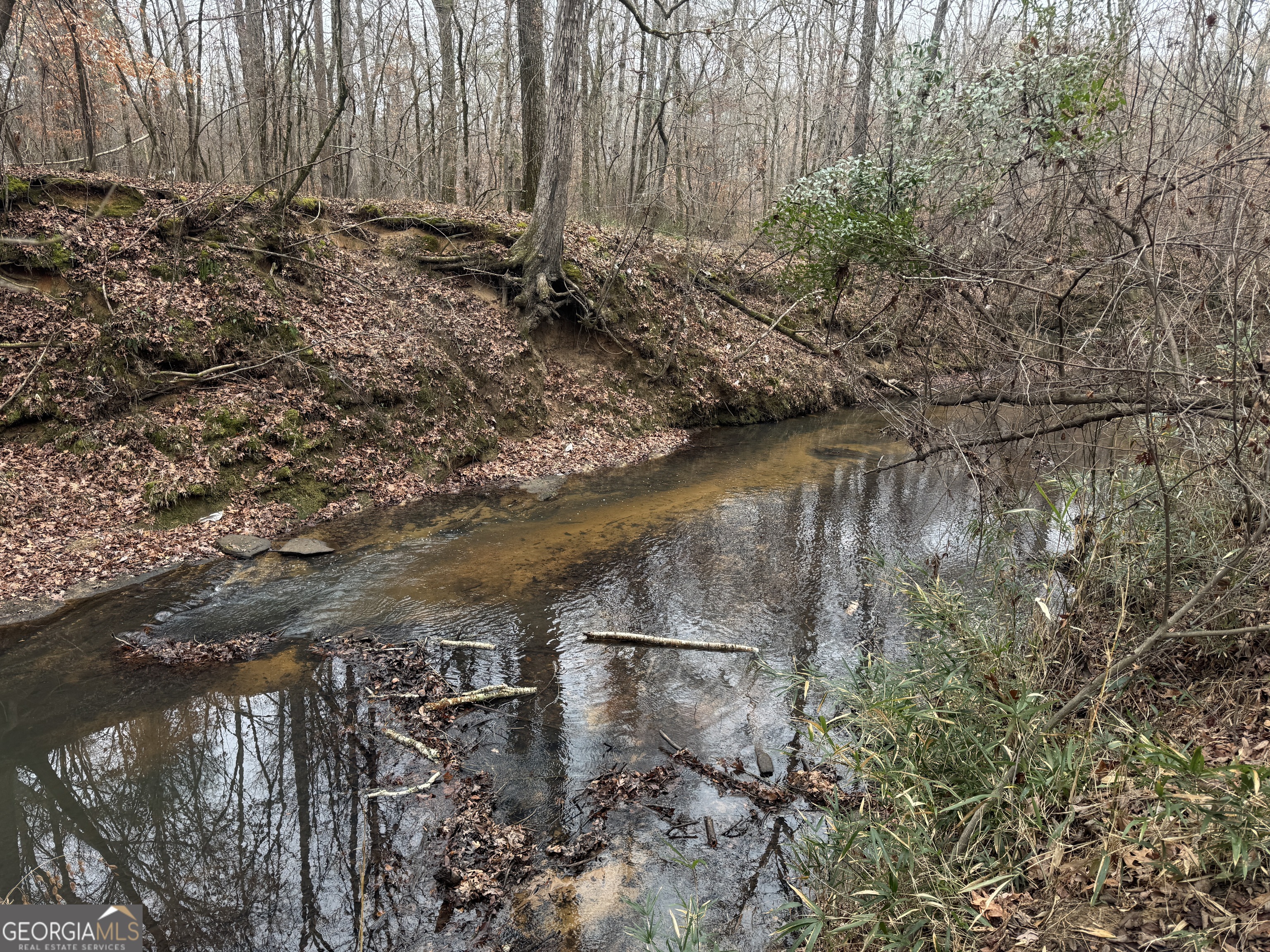 226.04-ac Kingsboro Road Hamilton, GA 31811 - Photo 5 of 21