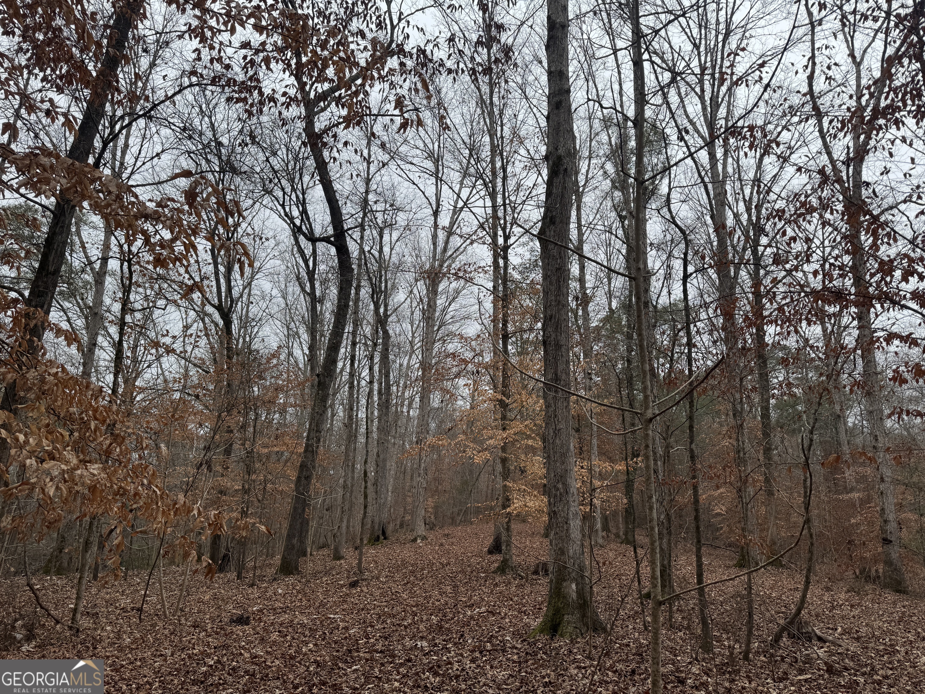 226.04-ac Kingsboro Road Hamilton, GA 31811 - Photo 6 of 21