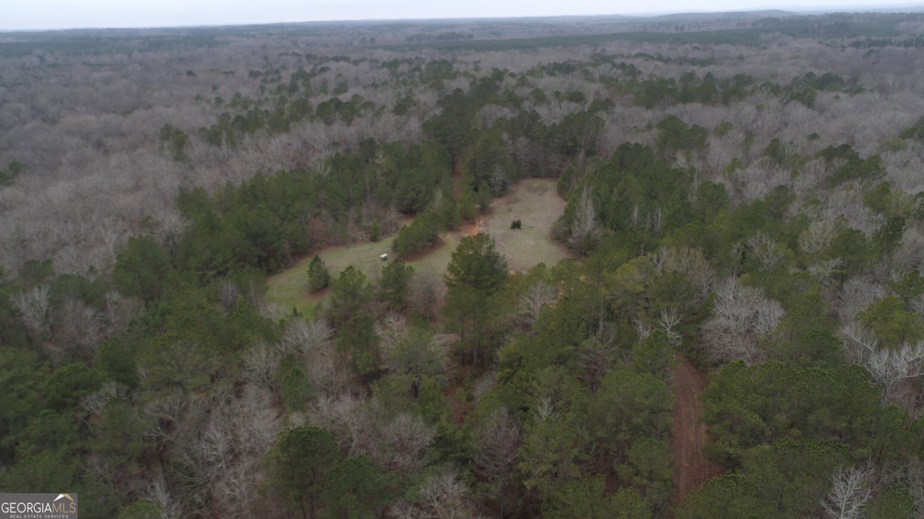 226.04-ac Kingsboro Road Hamilton, GA 31811 - Photo 7 of 21