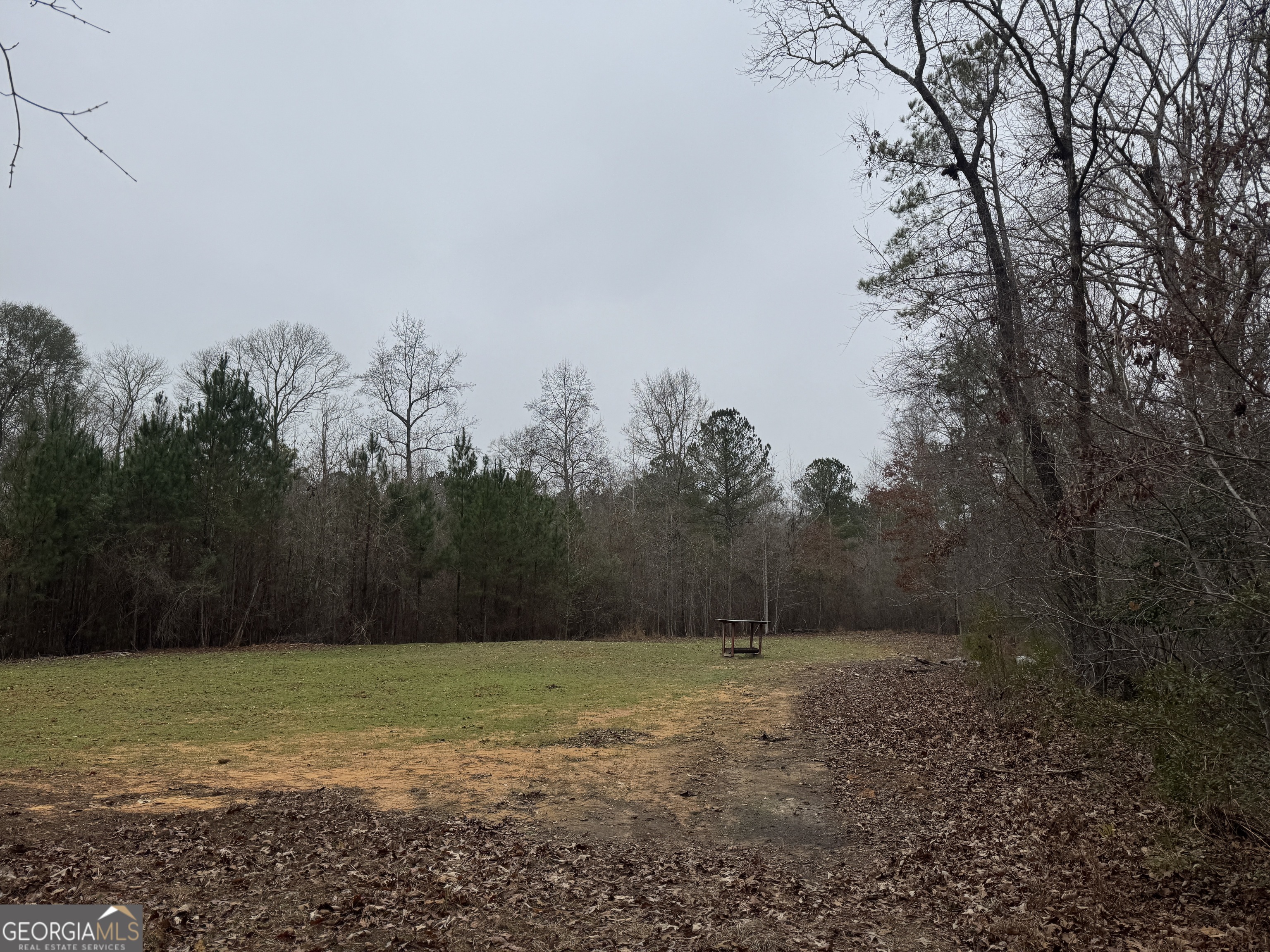 226.04-ac Kingsboro Road Hamilton, GA 31811 - Photo 8 of 21