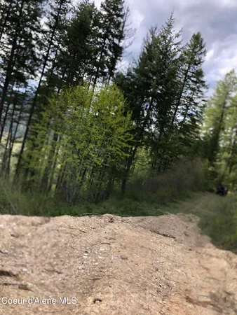 $1,400,000 | Nna Cda River, Kingston, ID 83839