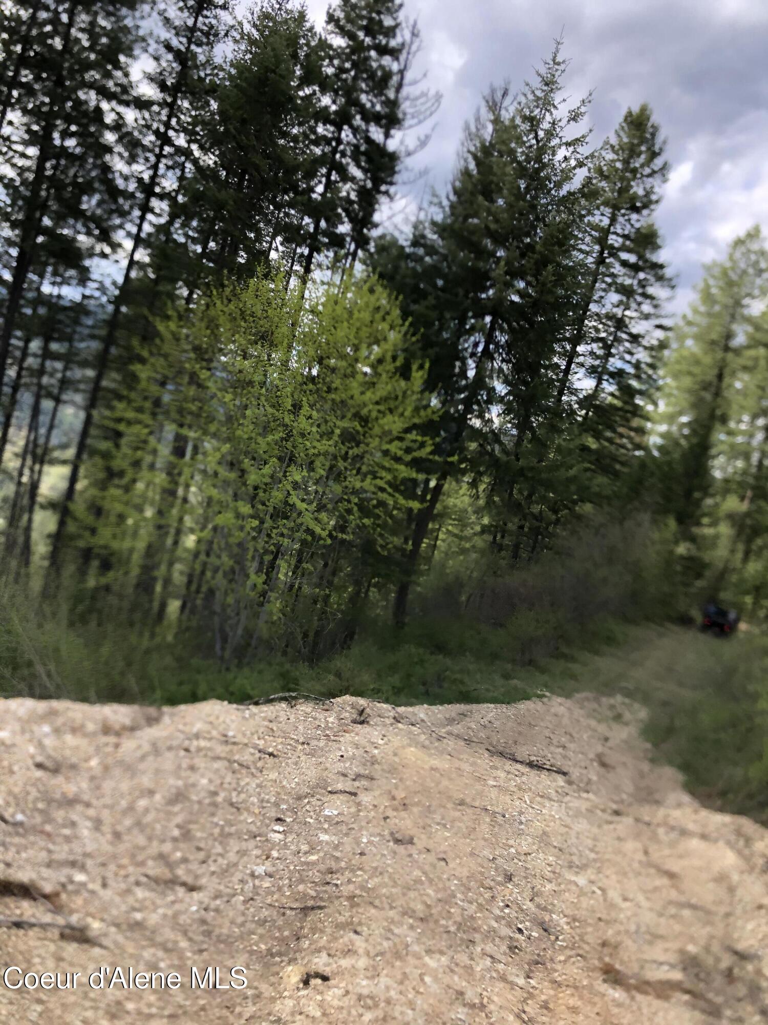 Nna Cda River Kingston, ID 83839 - Photo 11 of 13 IMG_6213